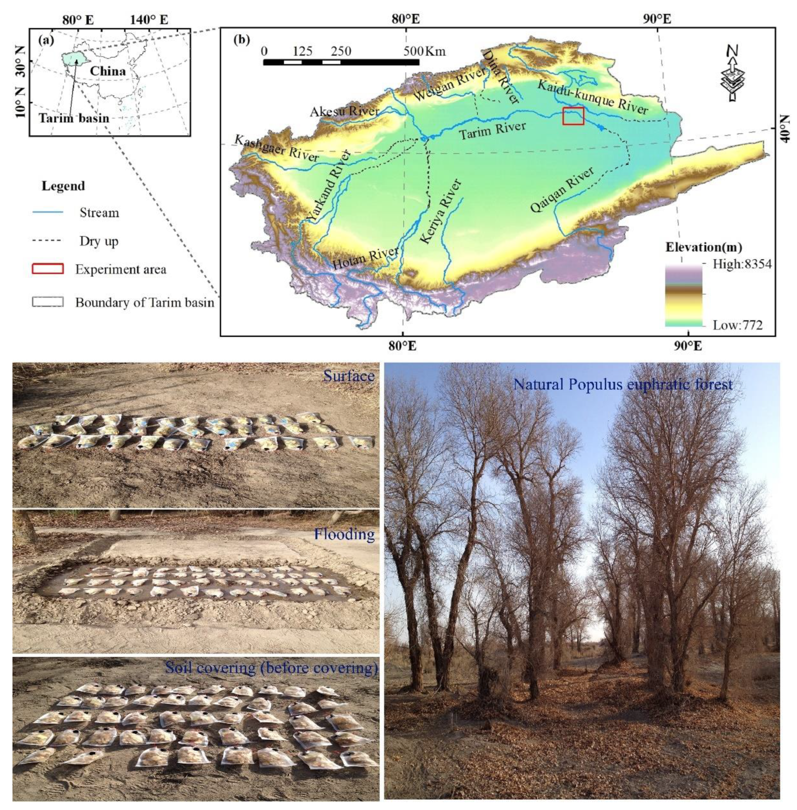 Forests 13 00476 g001