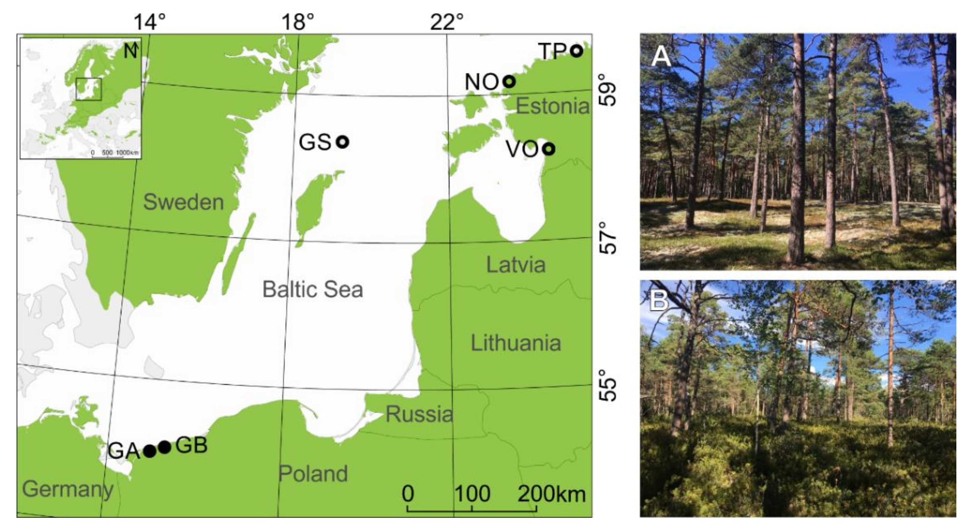 Forests 13 00477 g001