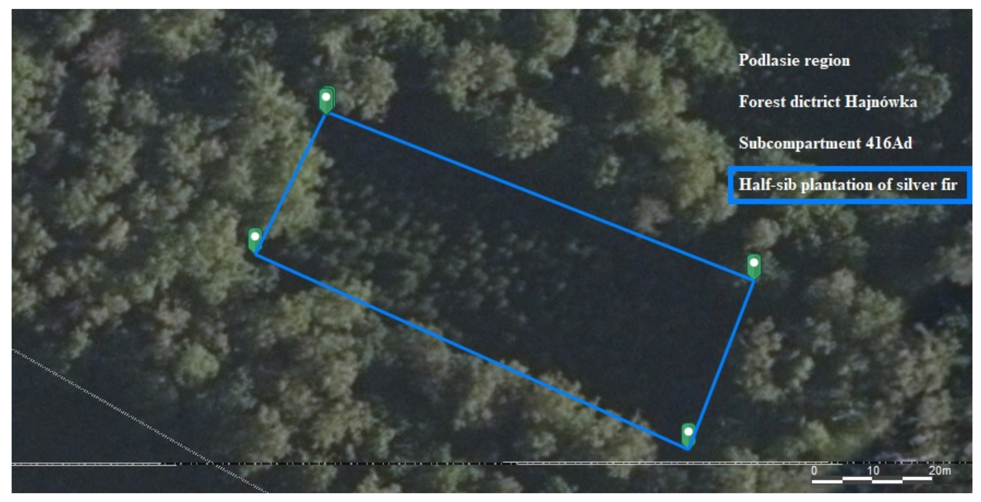 Forests 13 00479 g001