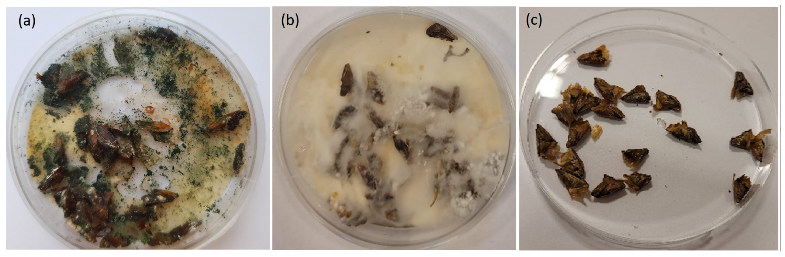 Forests 13 00479 g005