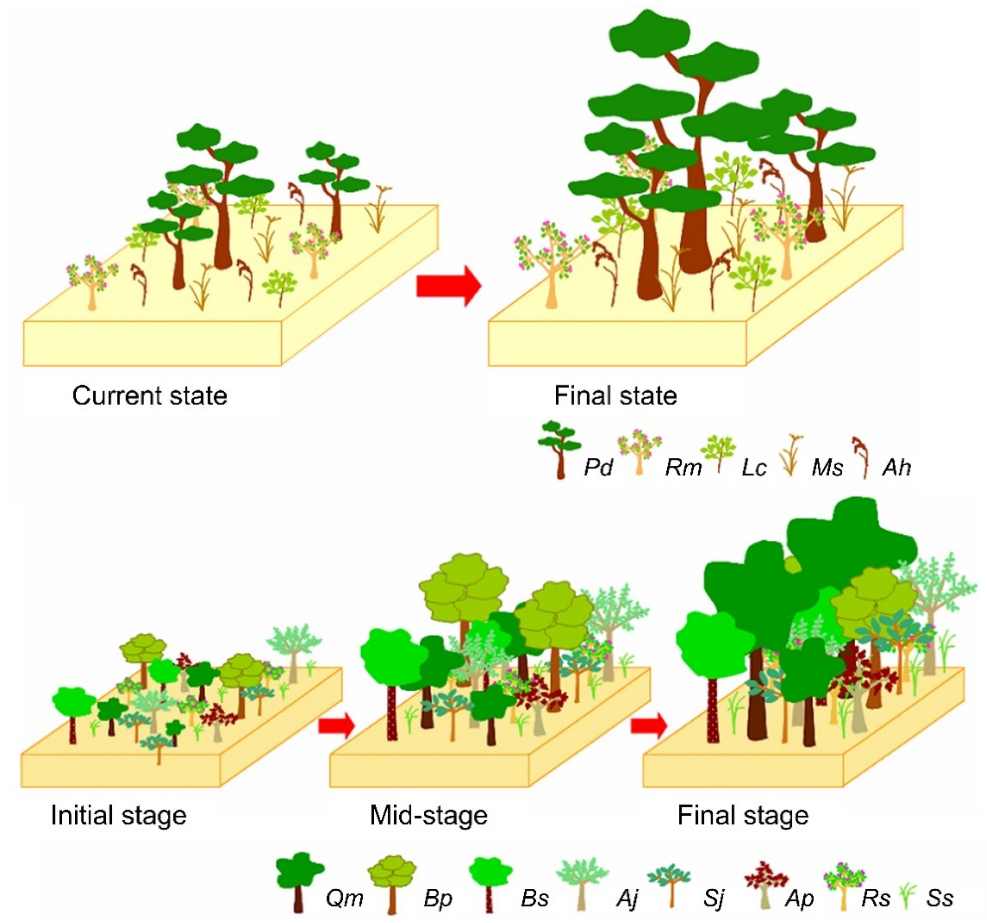 Forests 13 00483 g003