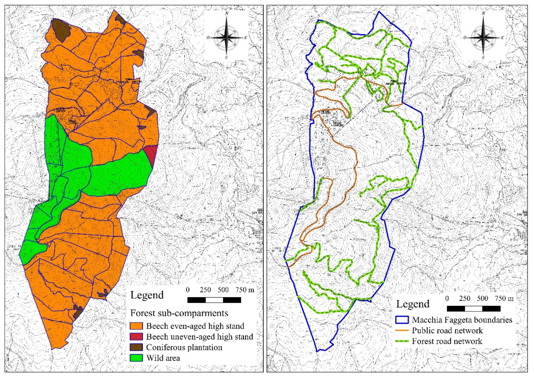 Forests 13 00484 g001