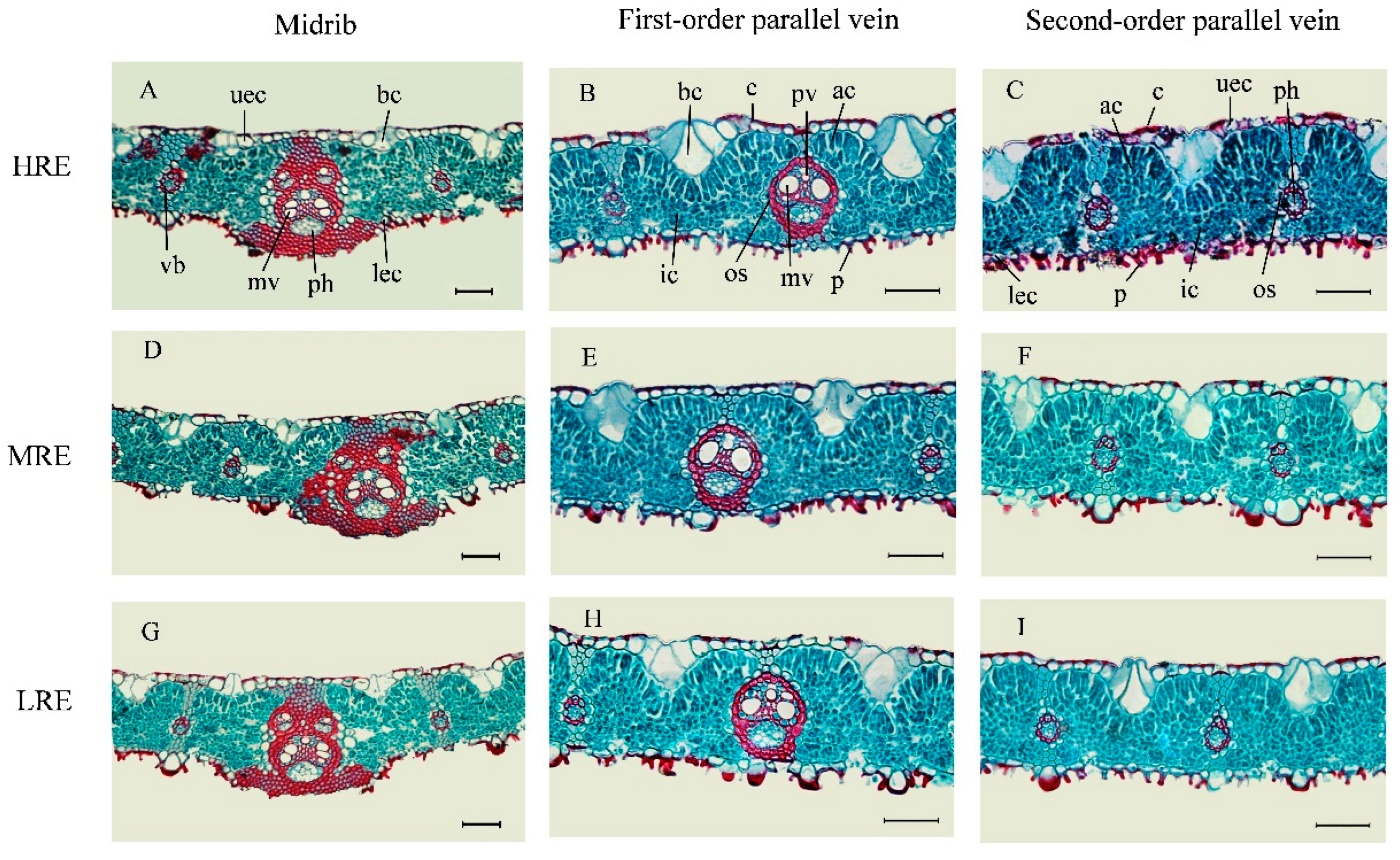 Forests 13 00493 g001