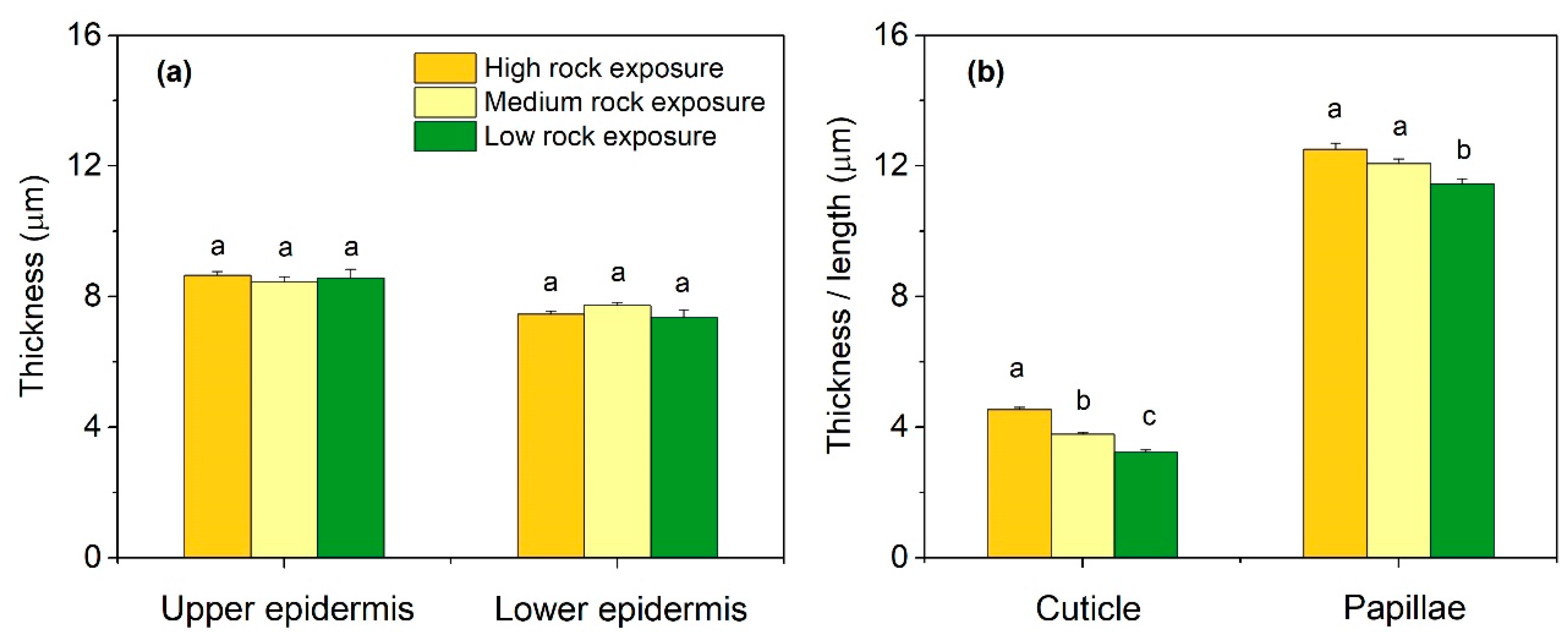 Forests 13 00493 g002