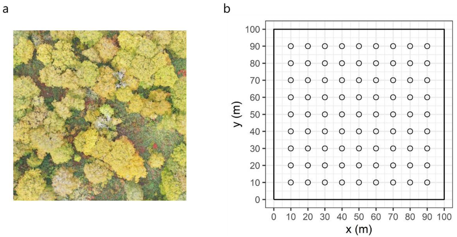Forests 13 00494 g002