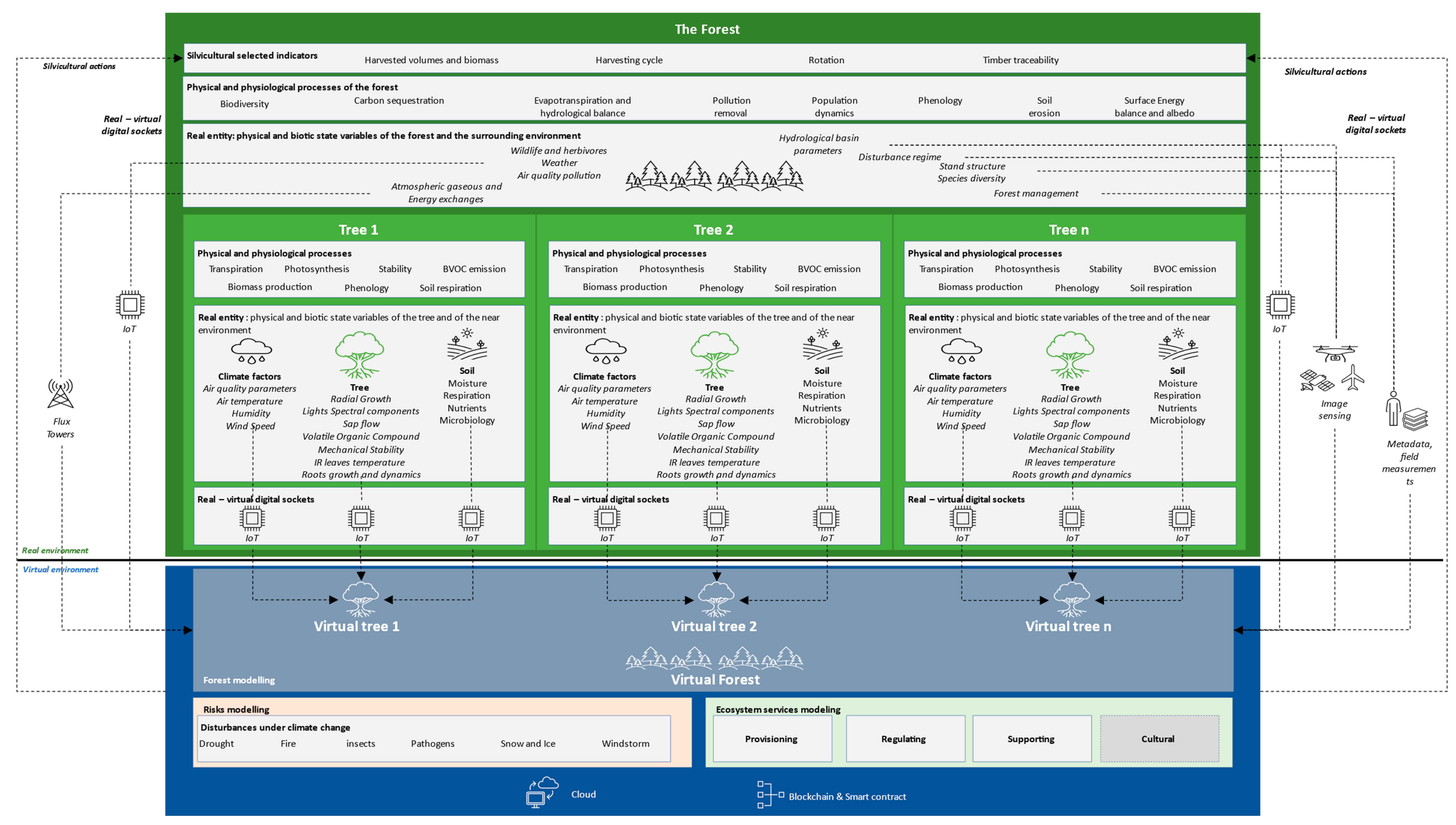 Forests 13 00498 g001