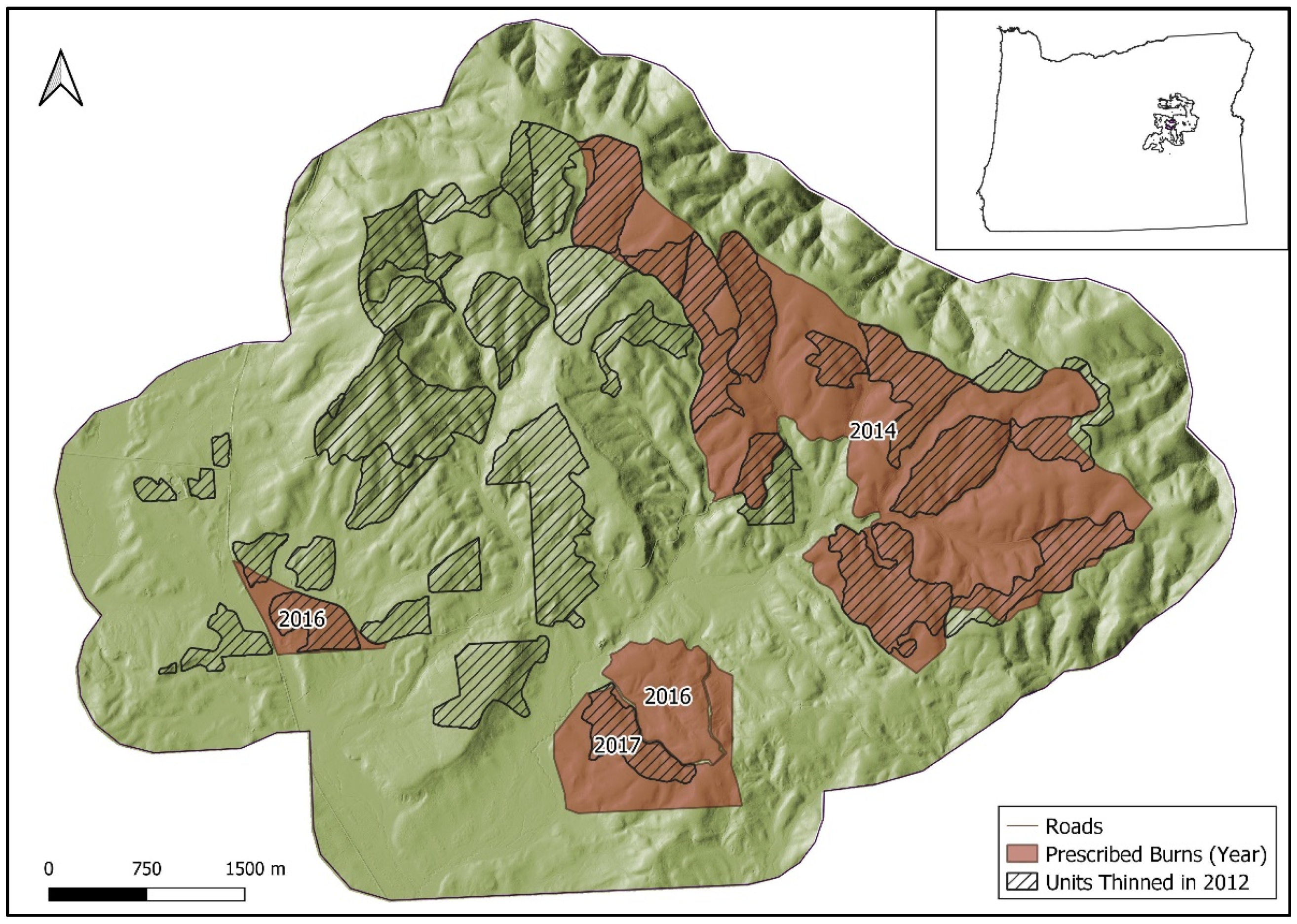 Forests 13 00503 g001