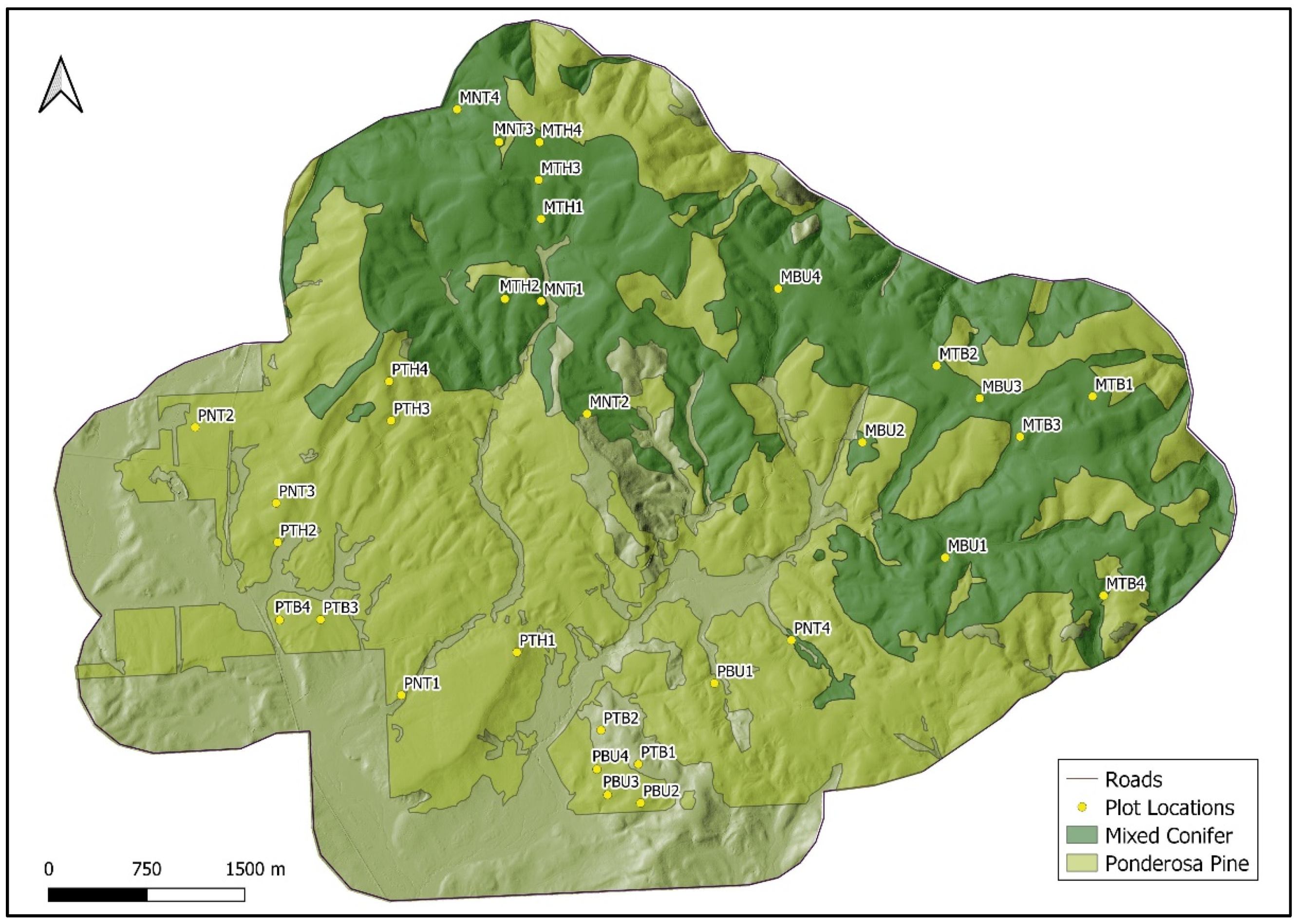 Forests 13 00503 g002