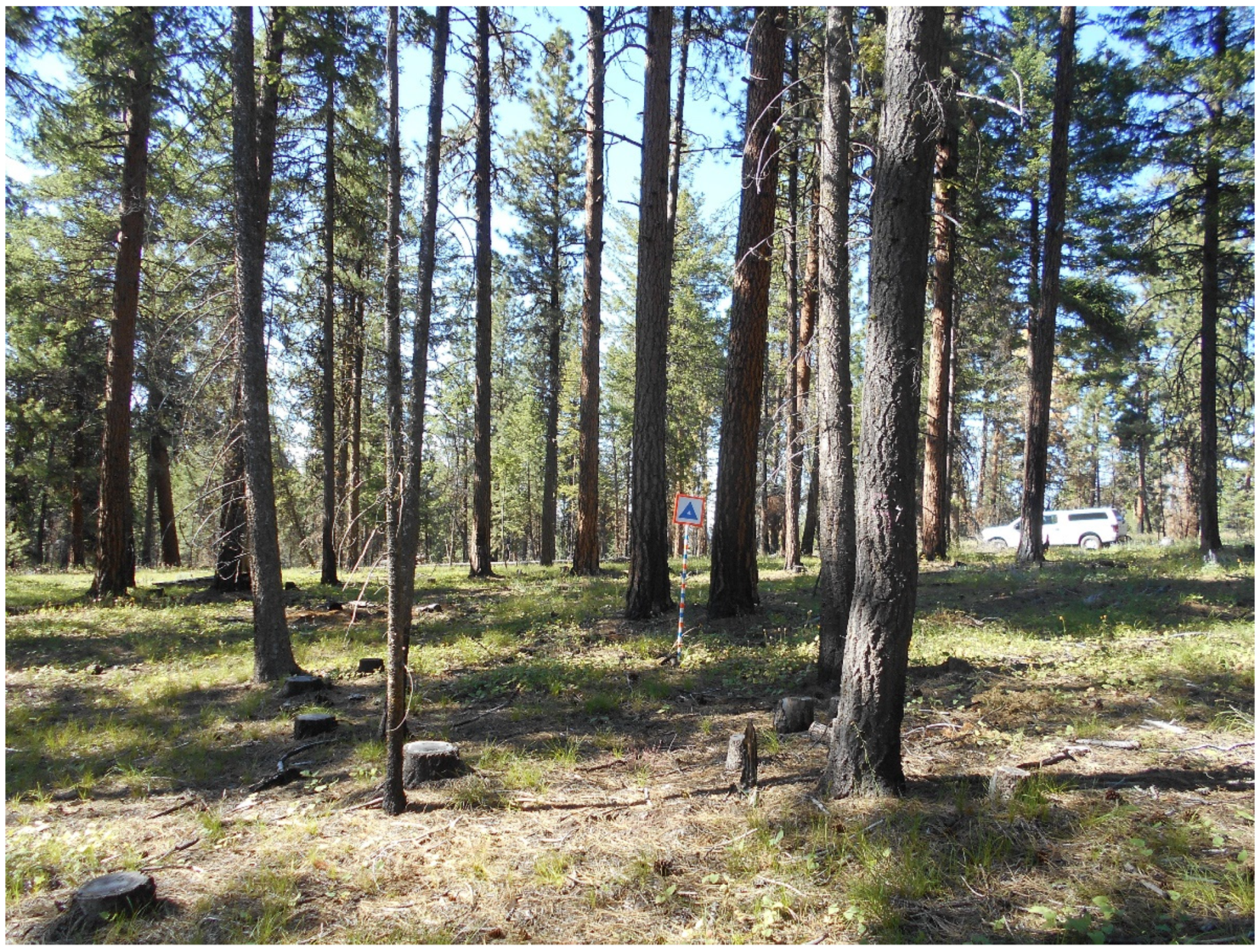 Forests 13 00503 g012