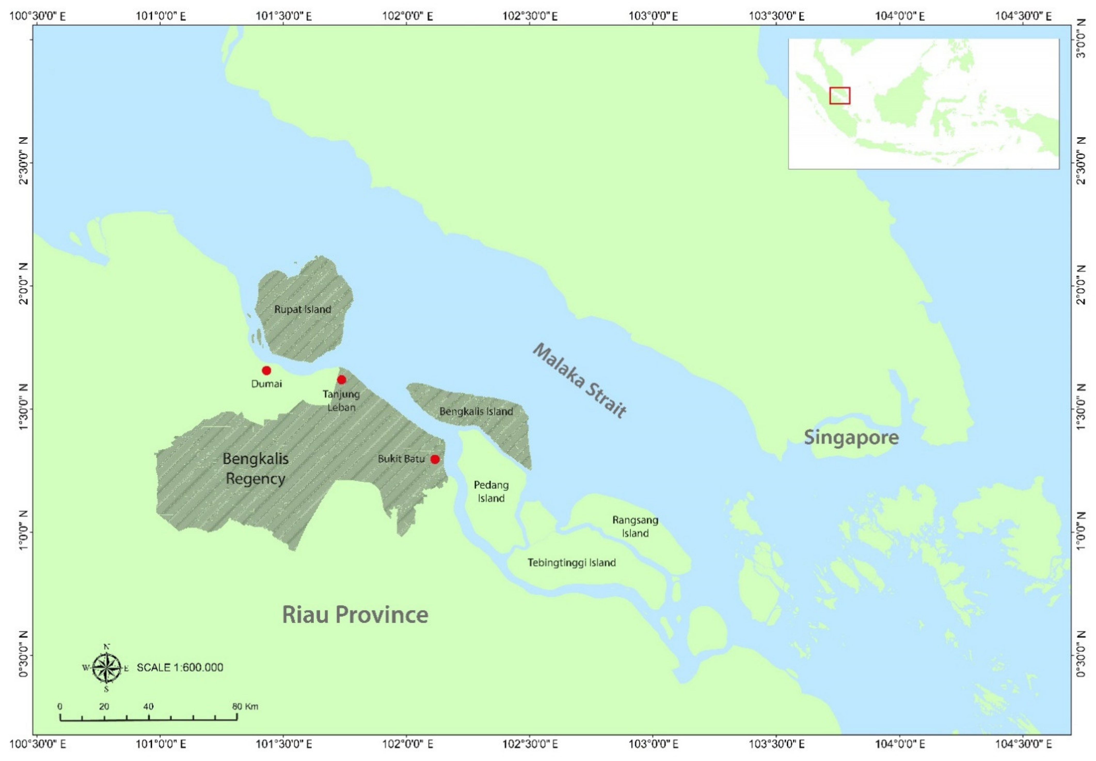Forests 13 00505 g001