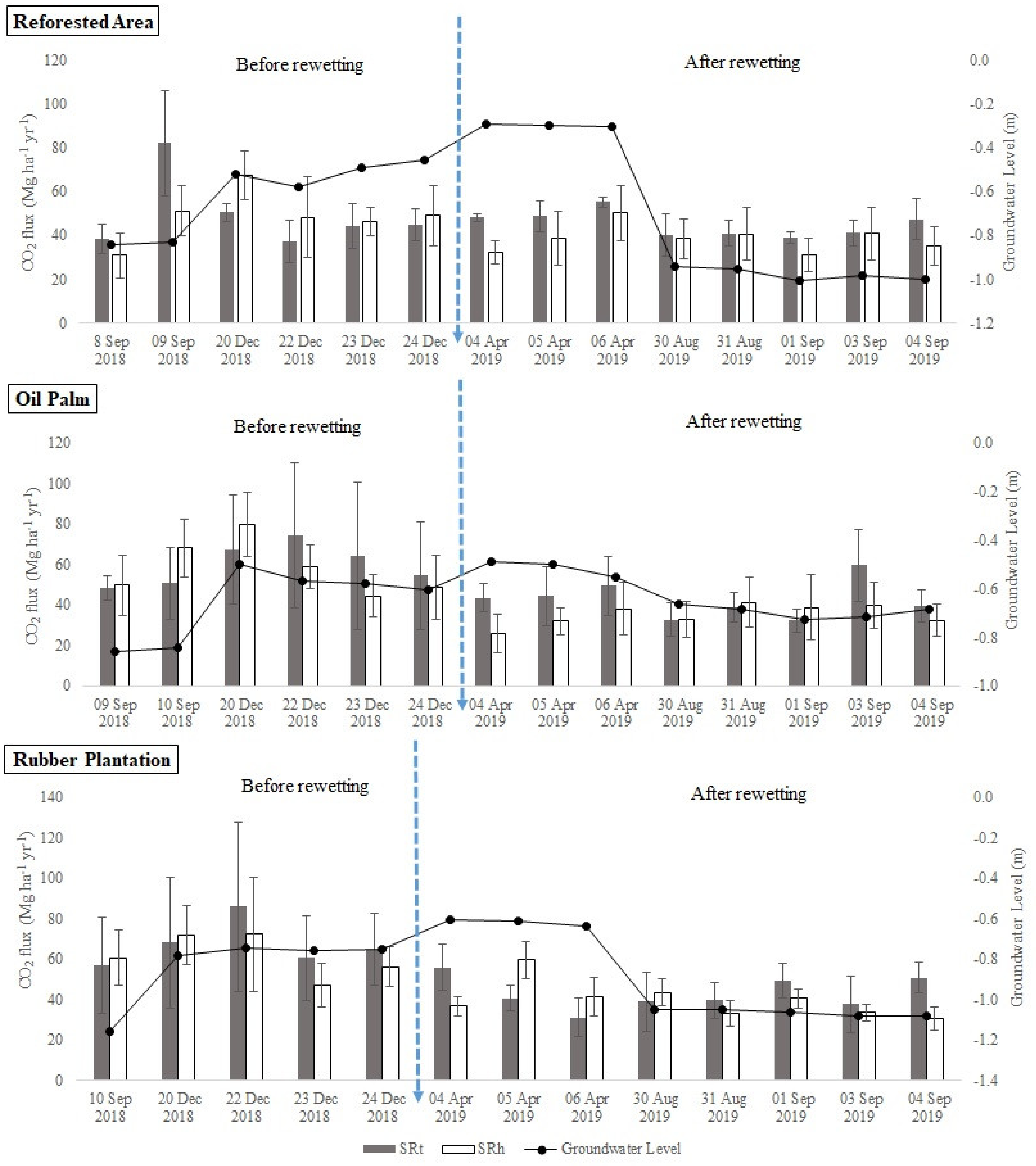 Forests 13 00505 g004