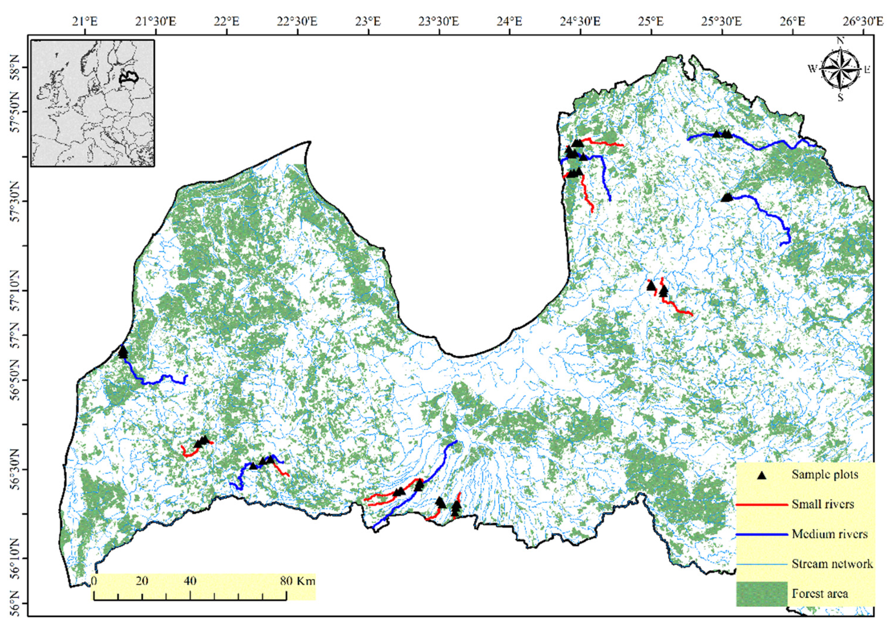 Forests 13 00506 g001