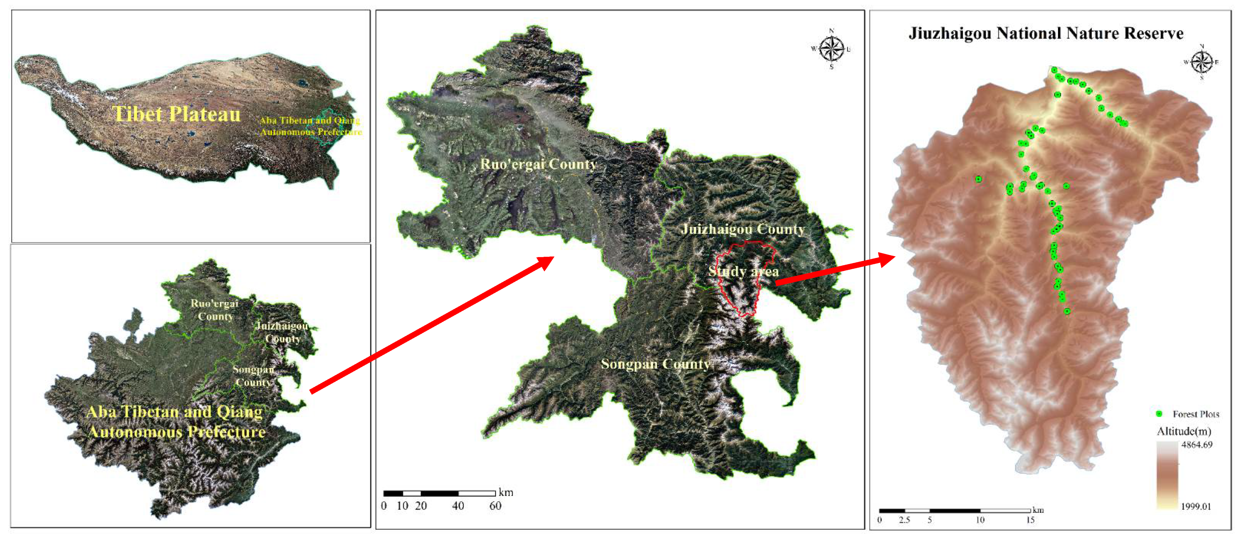 Forests 13 00507 g001