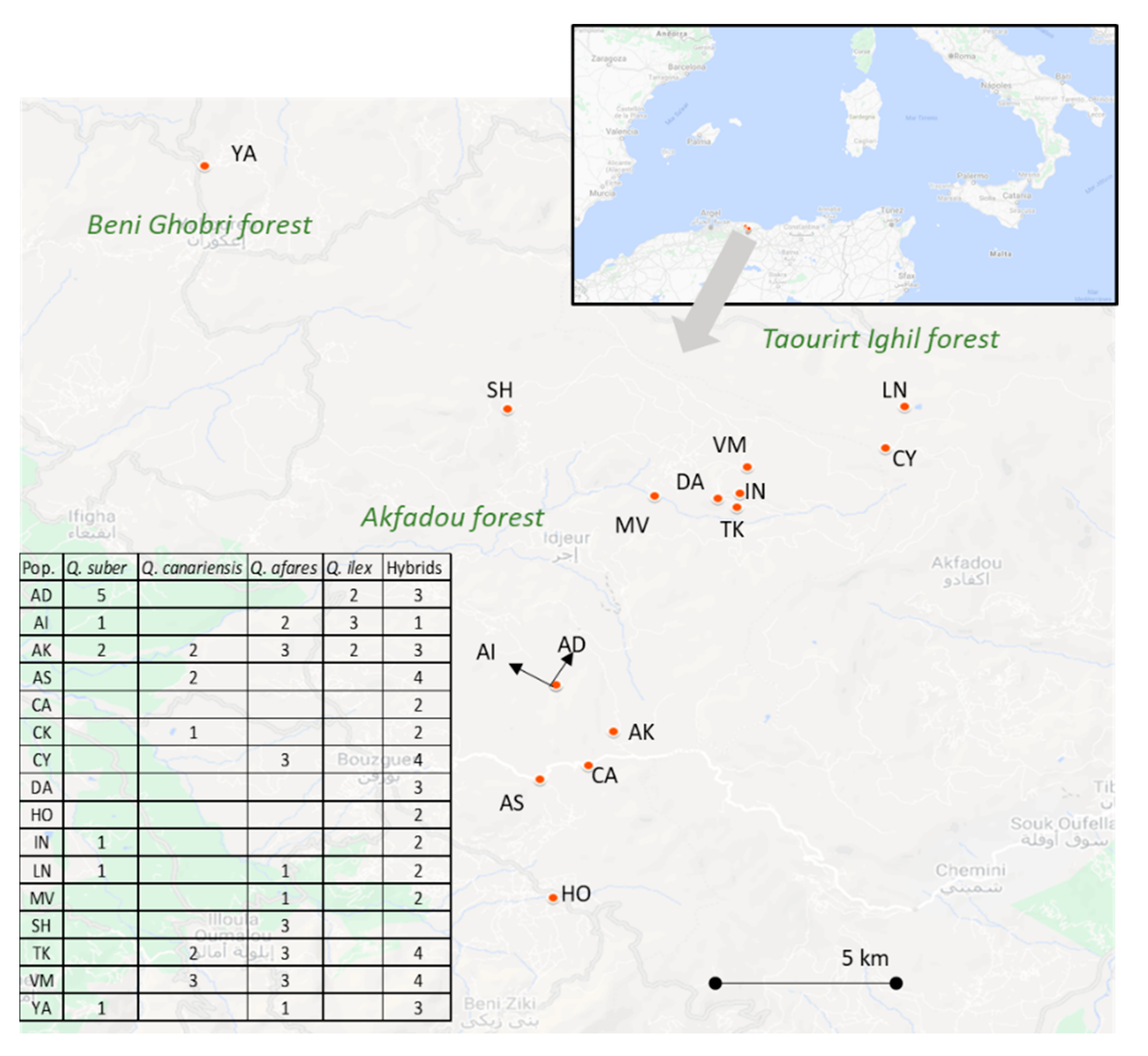Forests 13 00508 g001