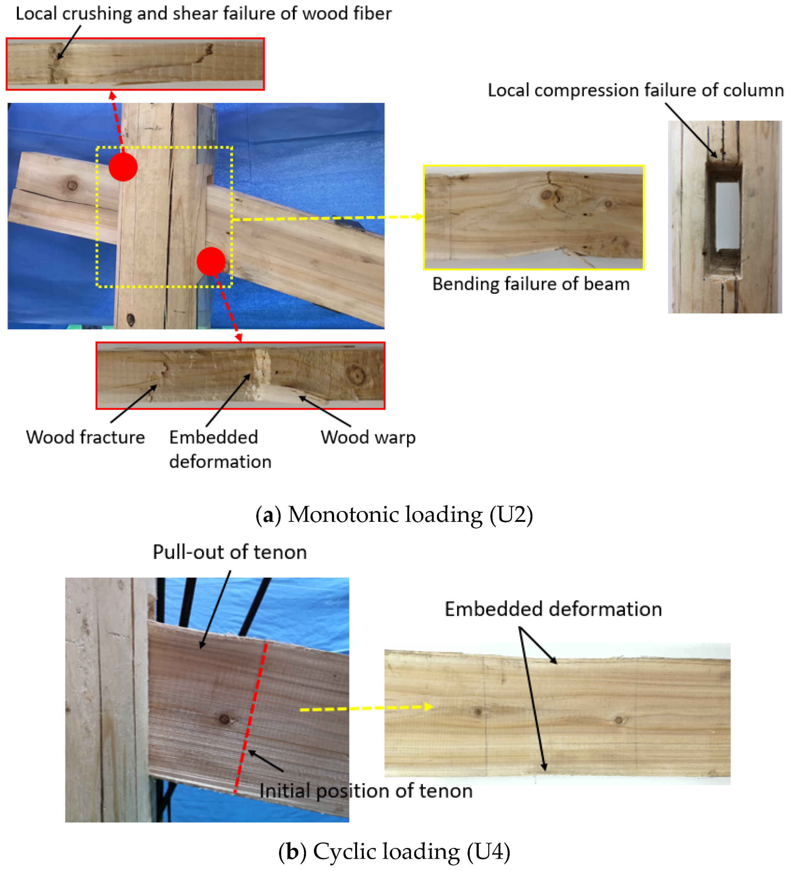 Forests 13 00513 g006