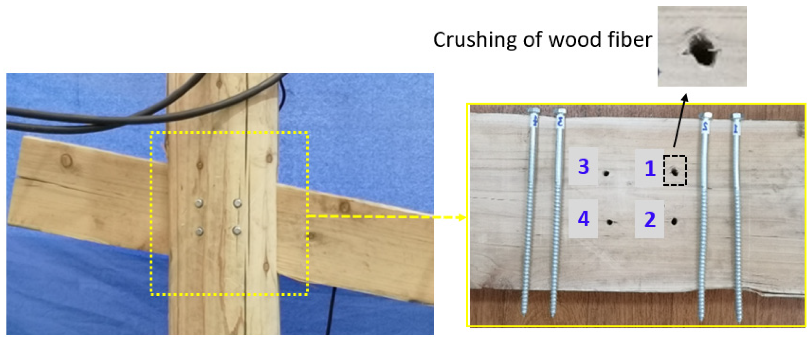 Forests 13 00513 g007