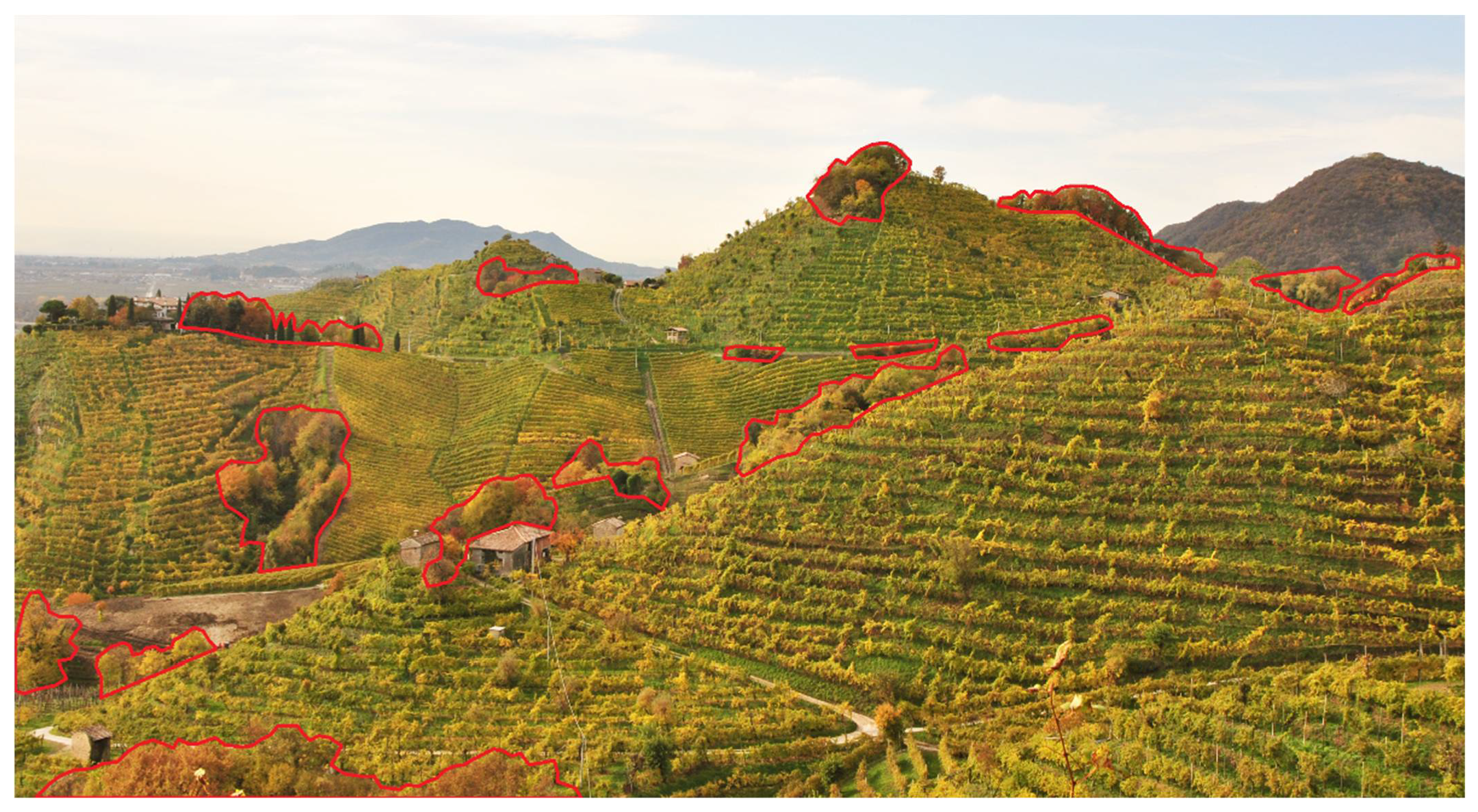 Forests 13 00514 g005