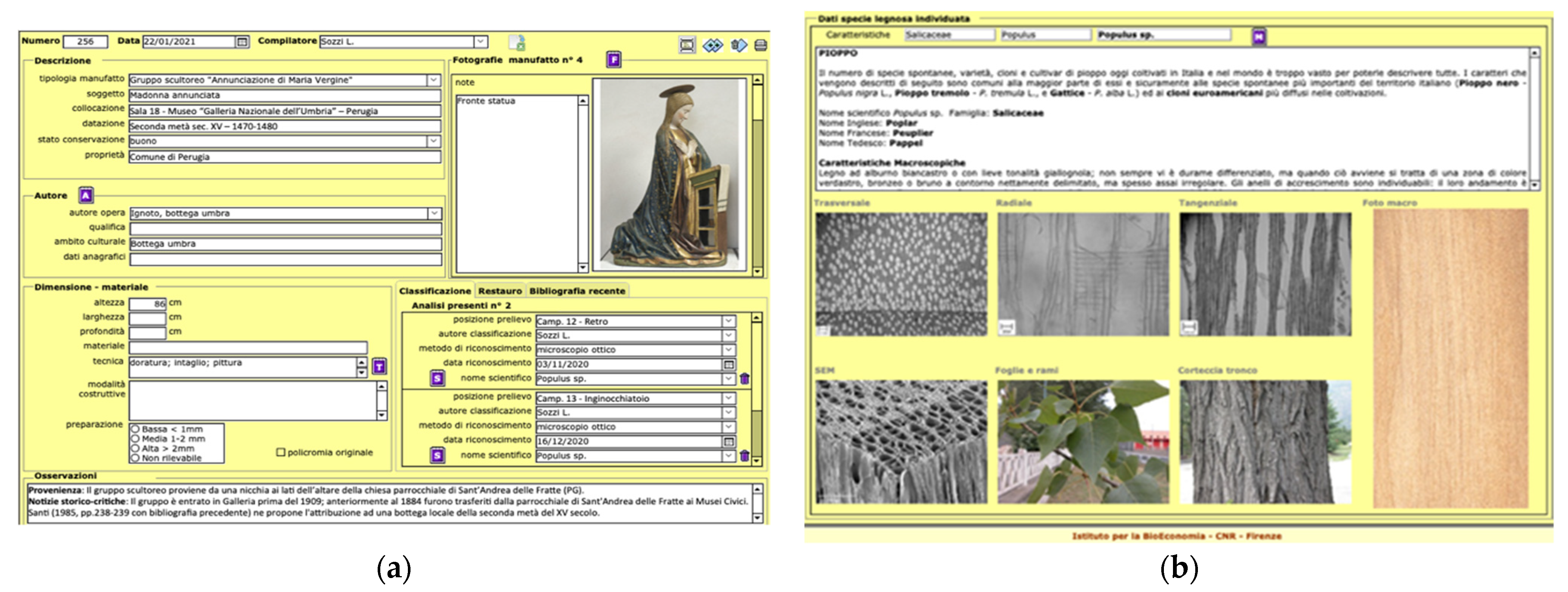 Forests 13 00517 g001