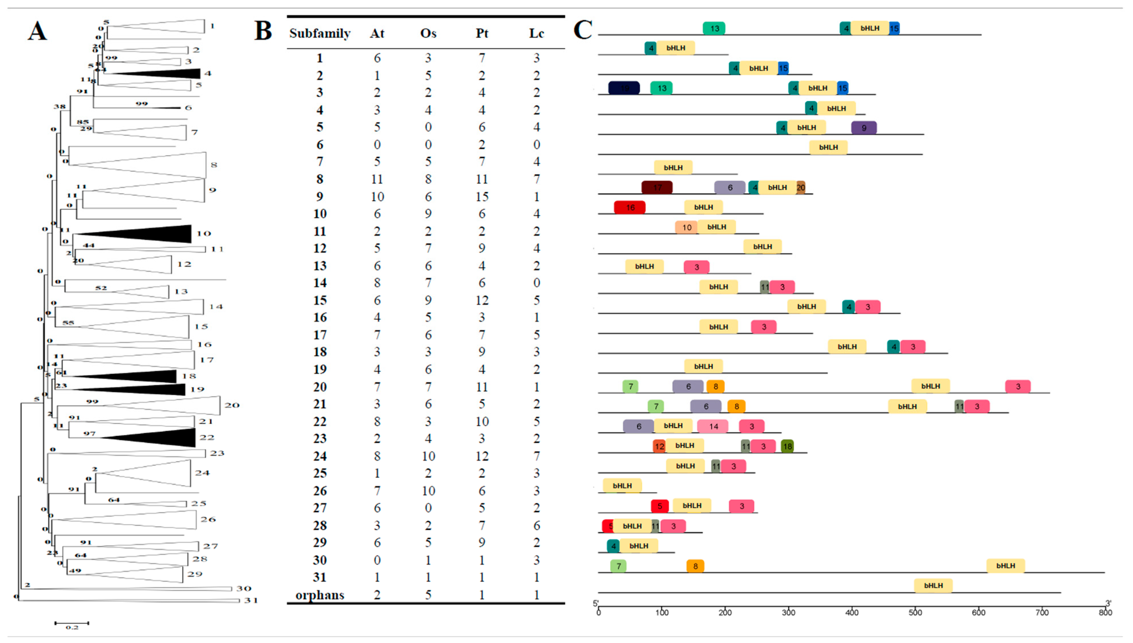 Forests 13 00518 g001