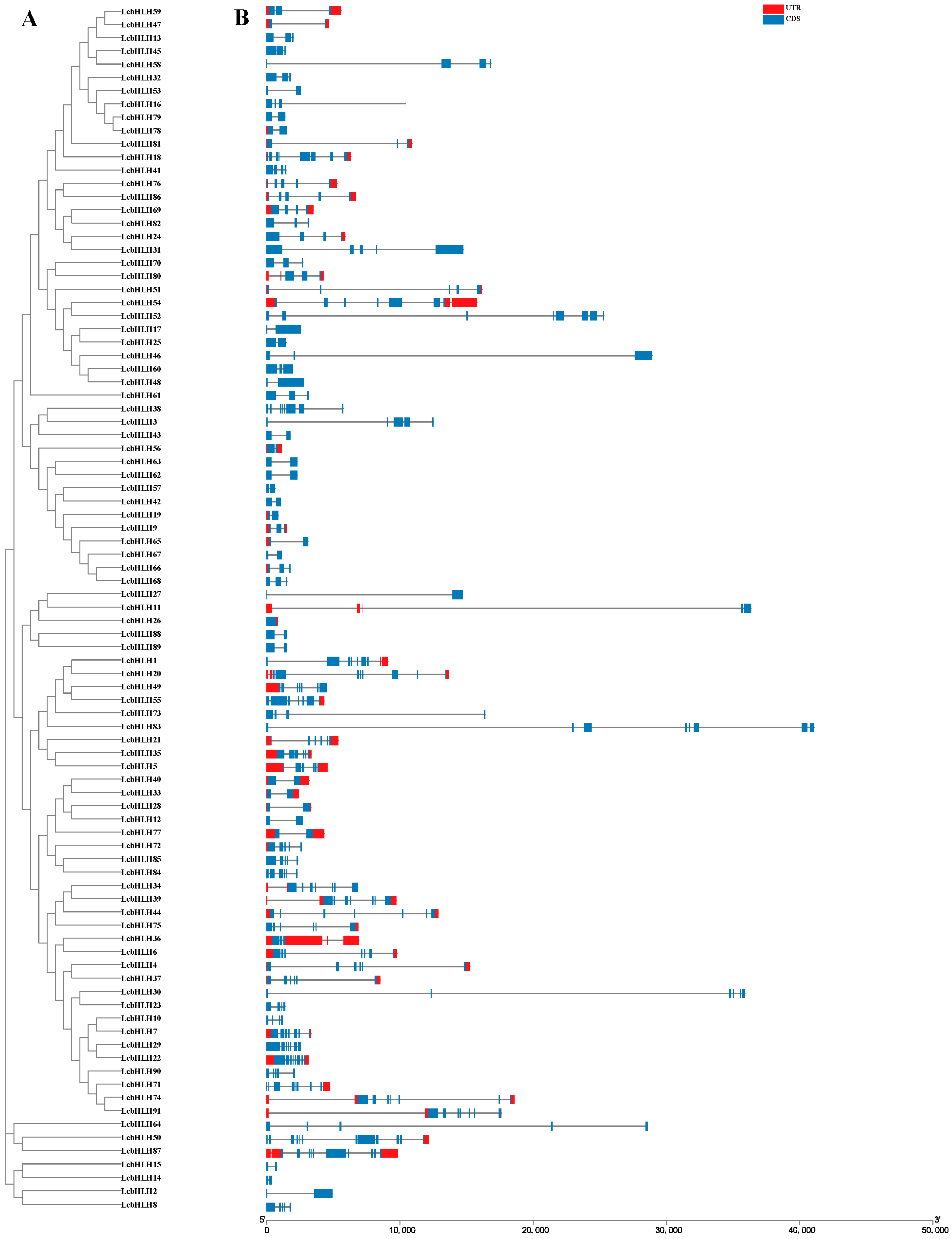 Forests 13 00518 g002