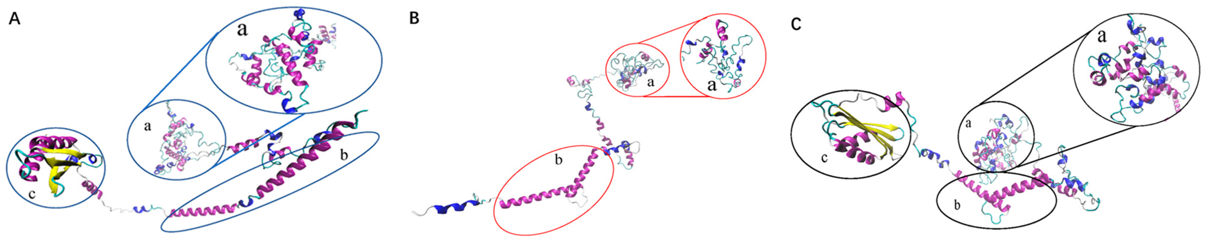 Forests 13 00518 g007