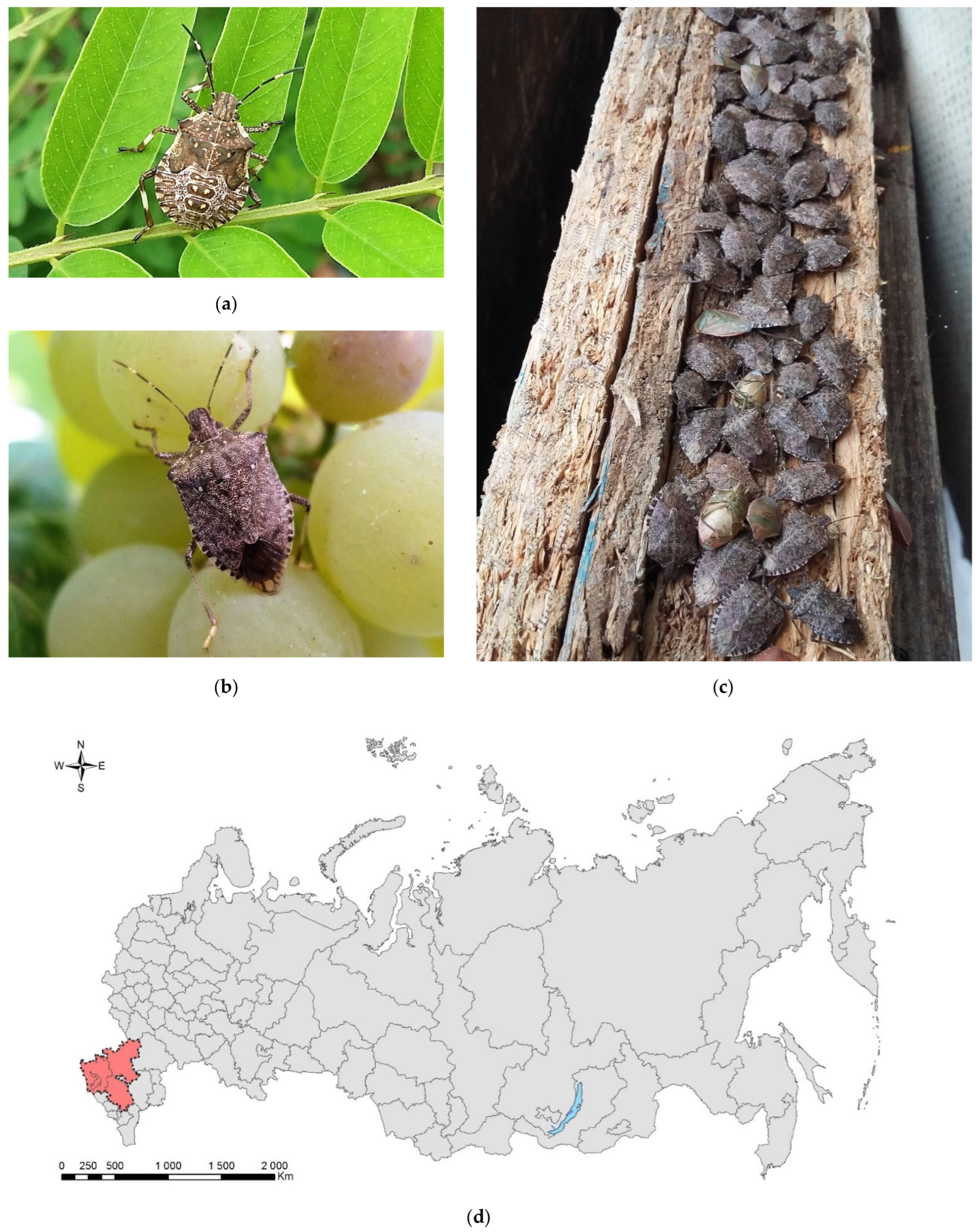 Forests 13 00521 g002