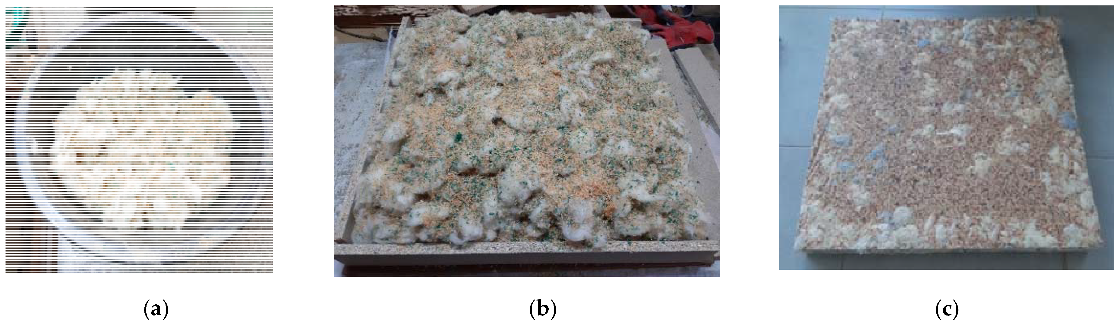 Forests 13 00522 g001 Forests 13 00522 g001