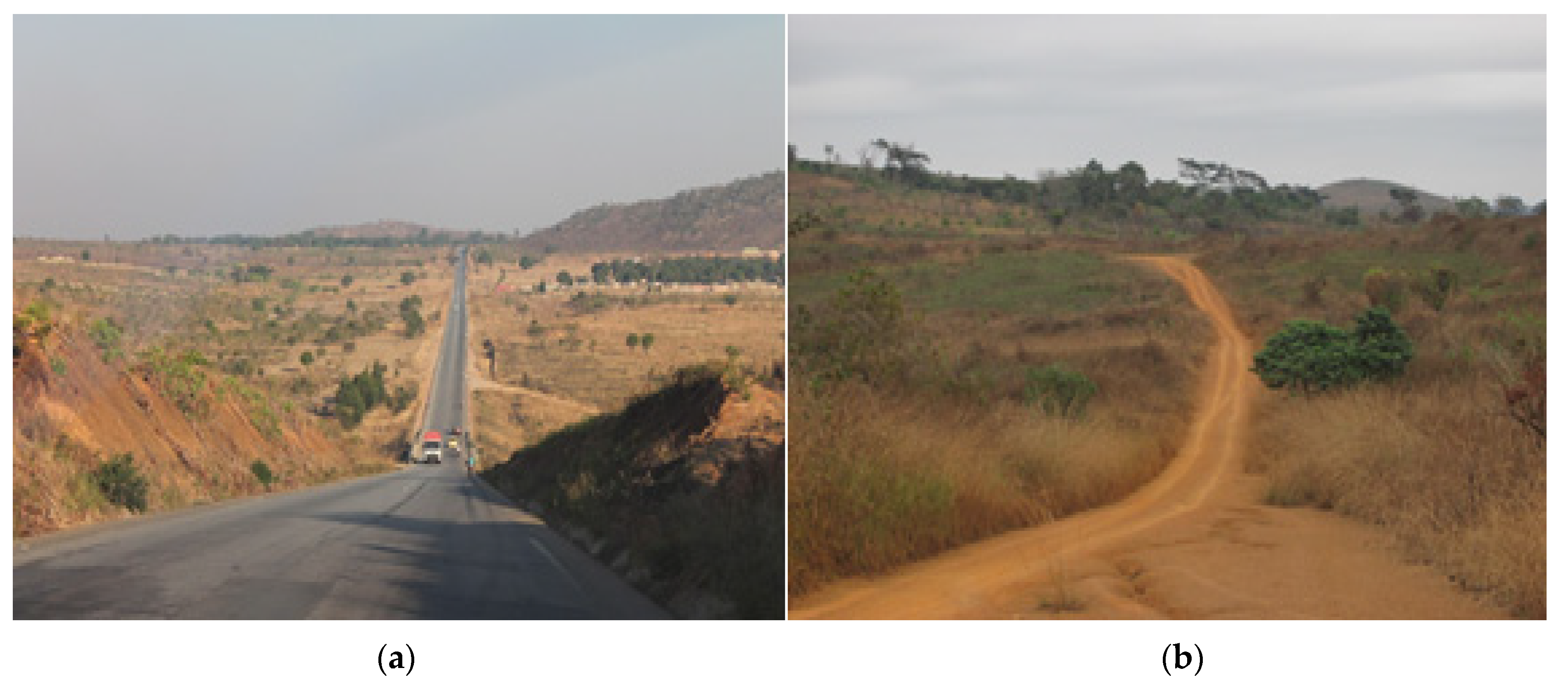 Forests 13 00524 g002