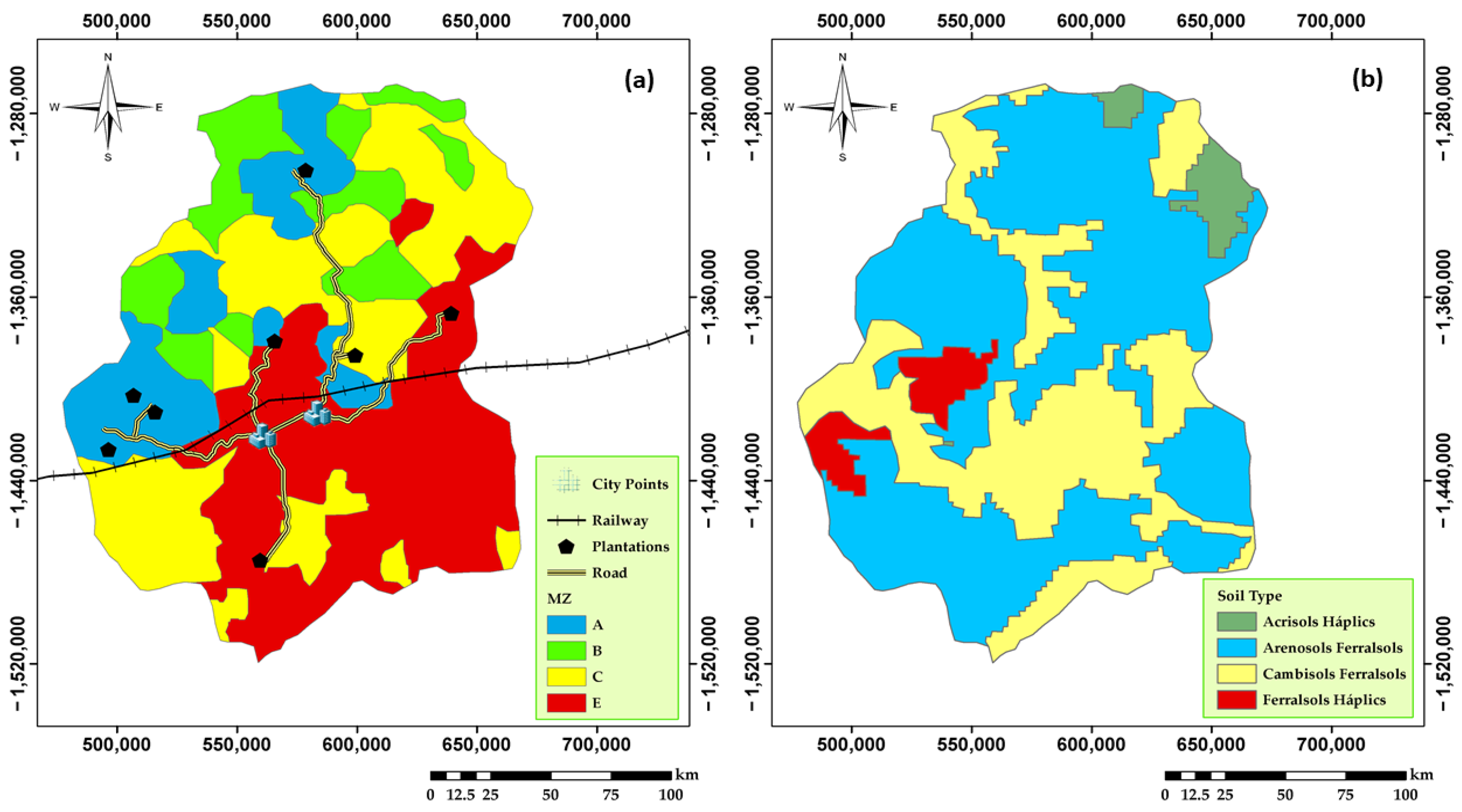 Forests 13 00524 g006