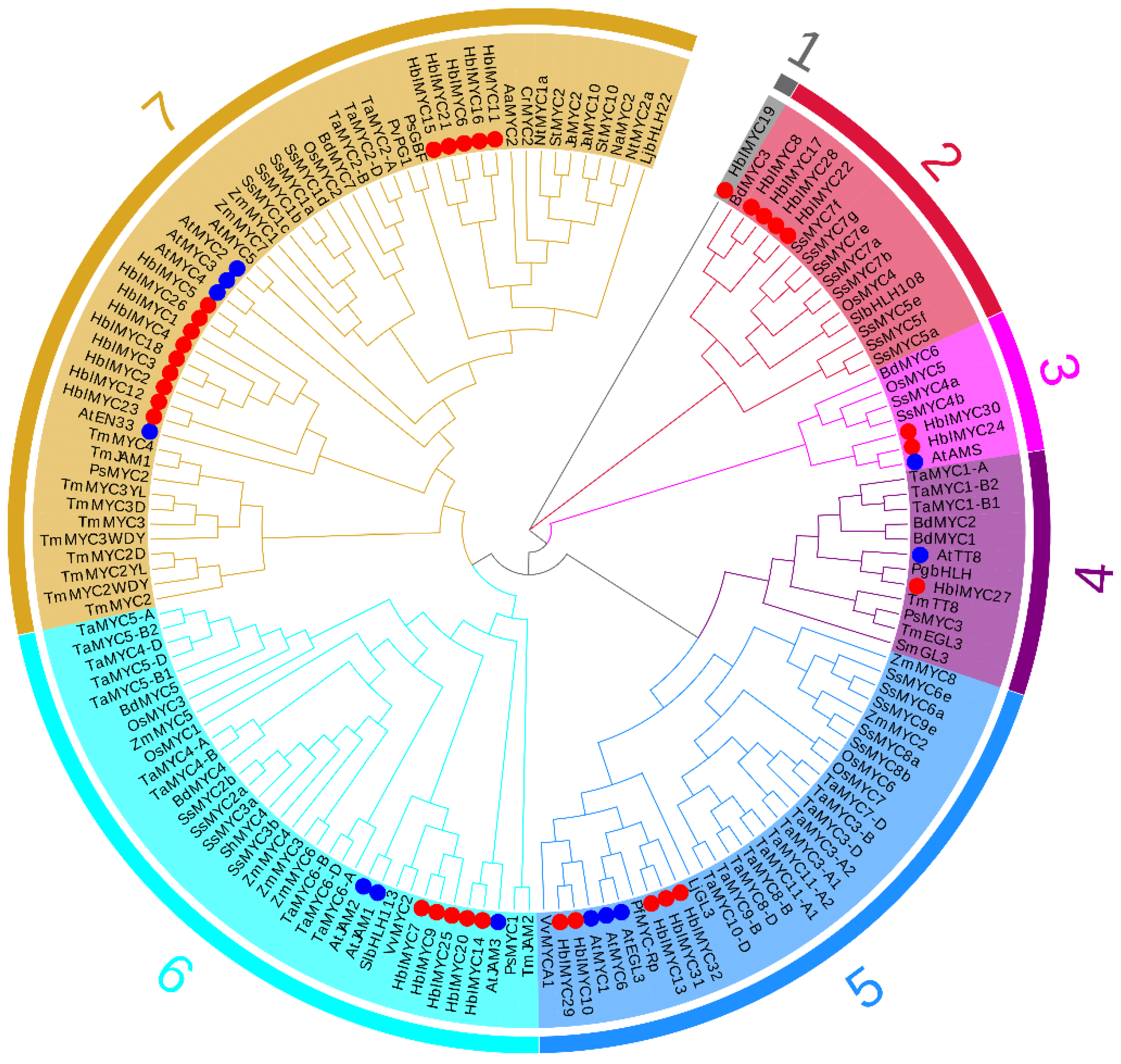 Forests 13 00531 g001
