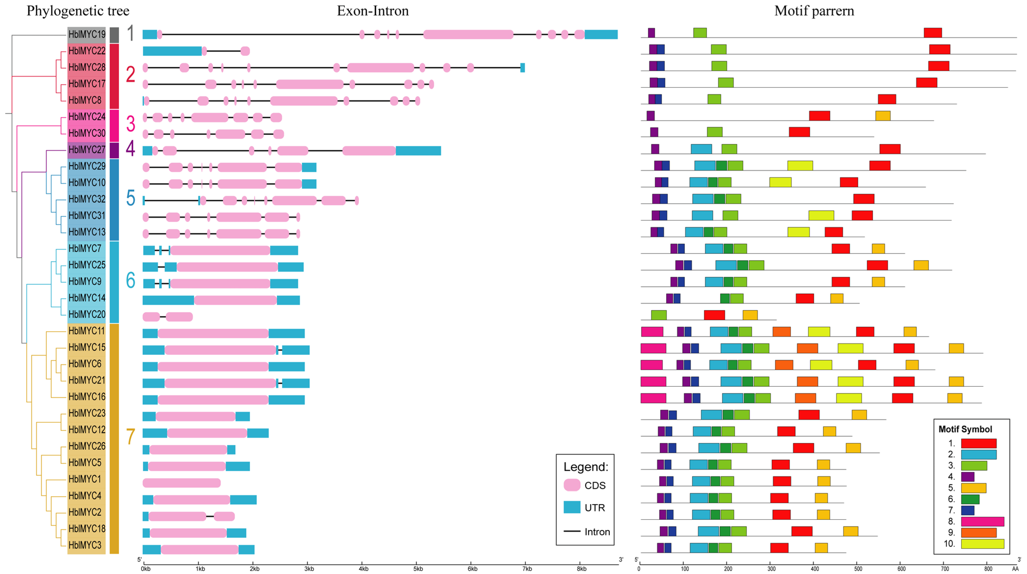 Forests 13 00531 g002