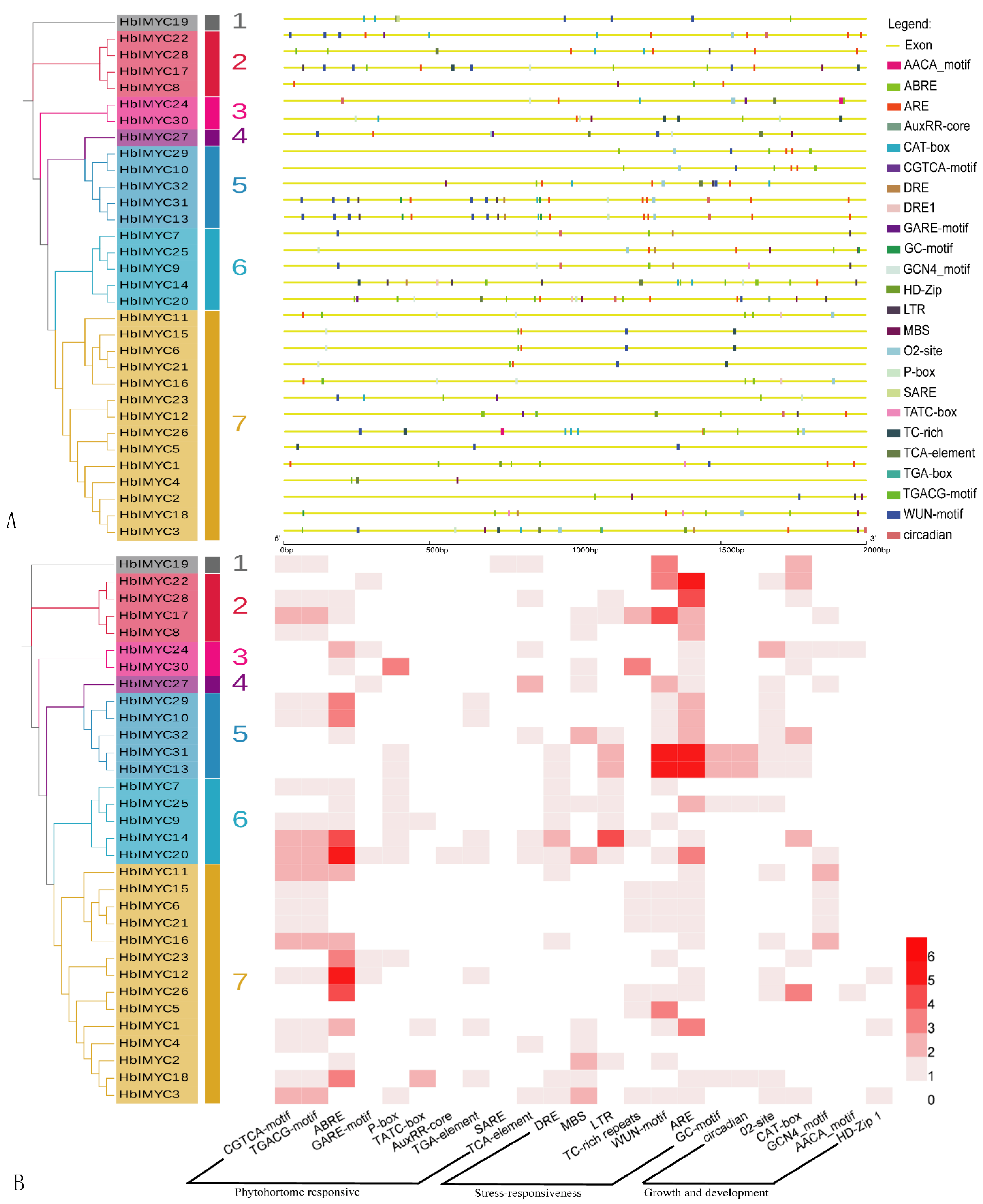 Forests 13 00531 g003