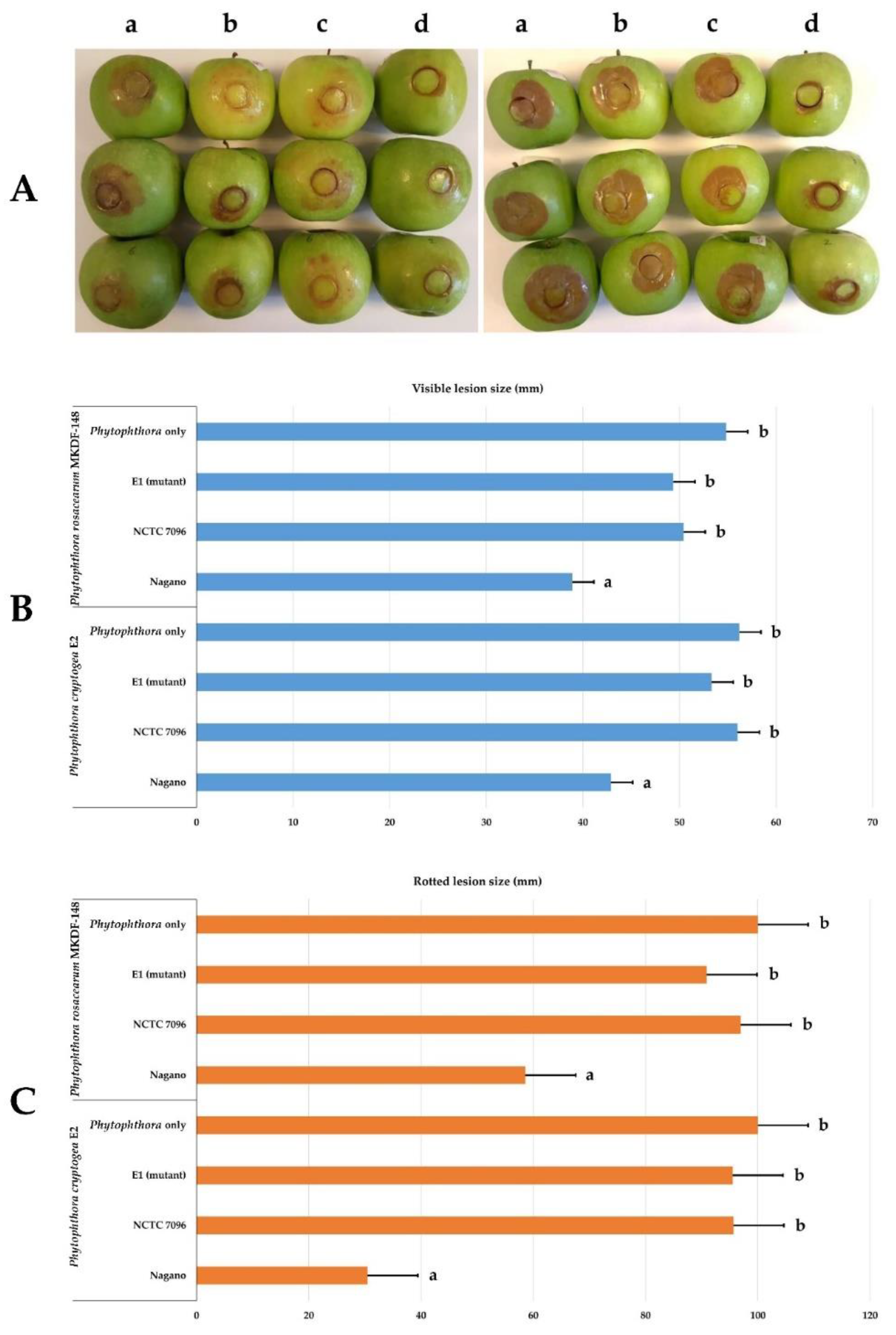 Forests 13 00535 g003