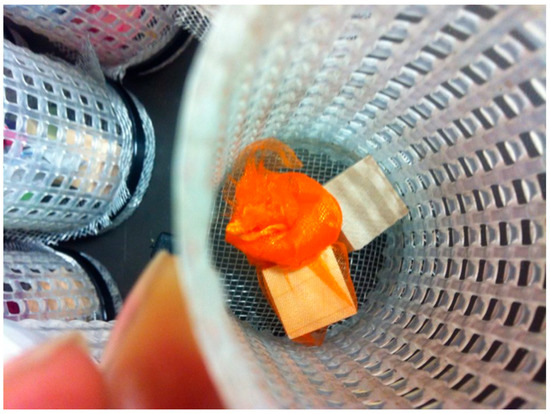 Forests 13 00536 g0a1 550