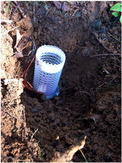 Forests 13 00536 g0a2 550