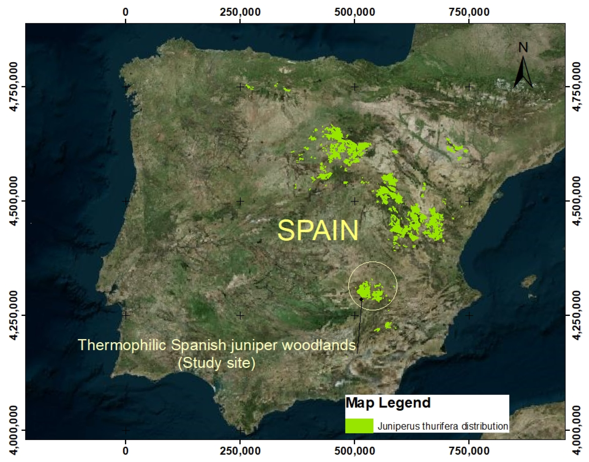 Forests 13 00538 g001