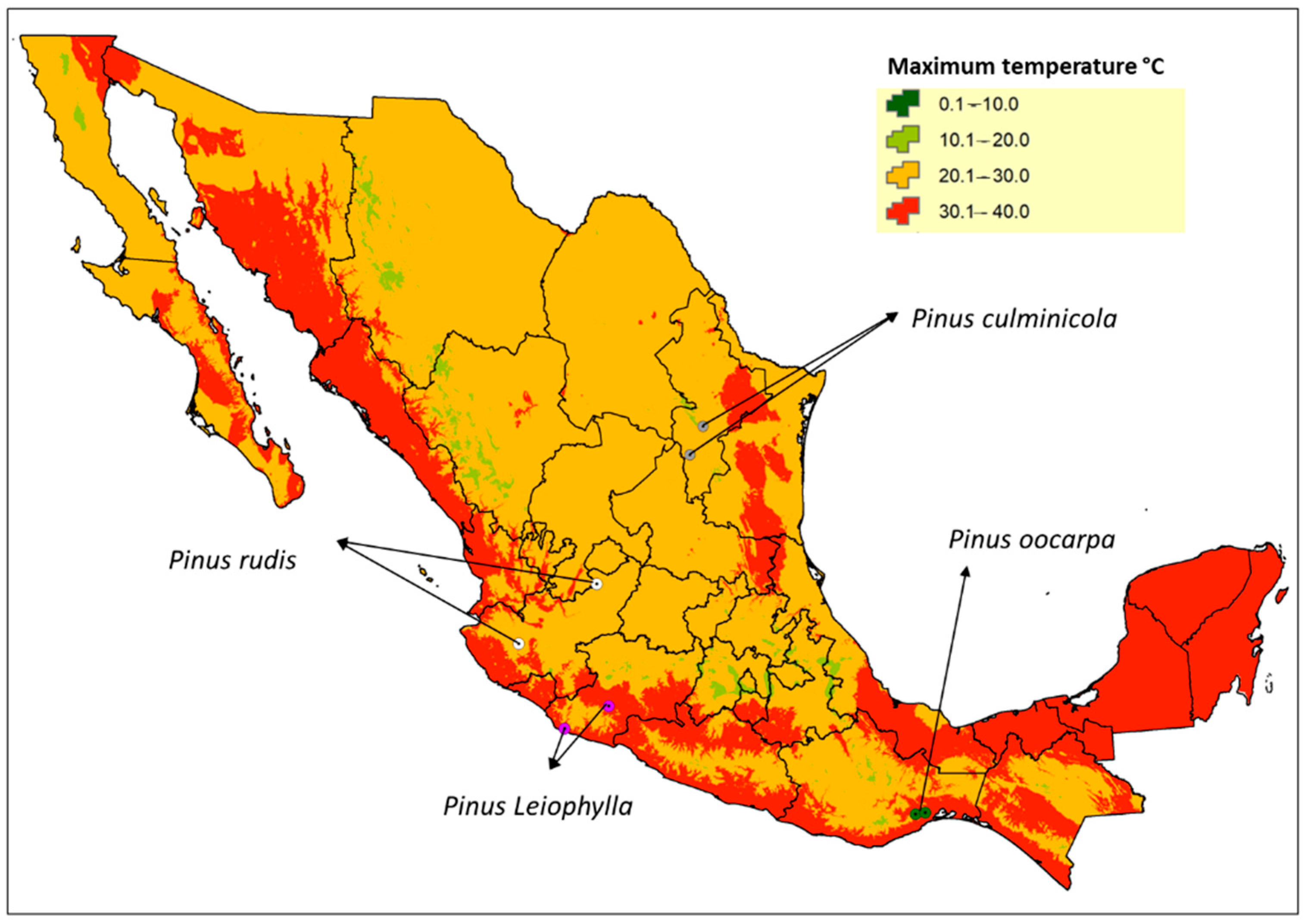 Forests 13 00539 g002 Forests 13 00539 g002