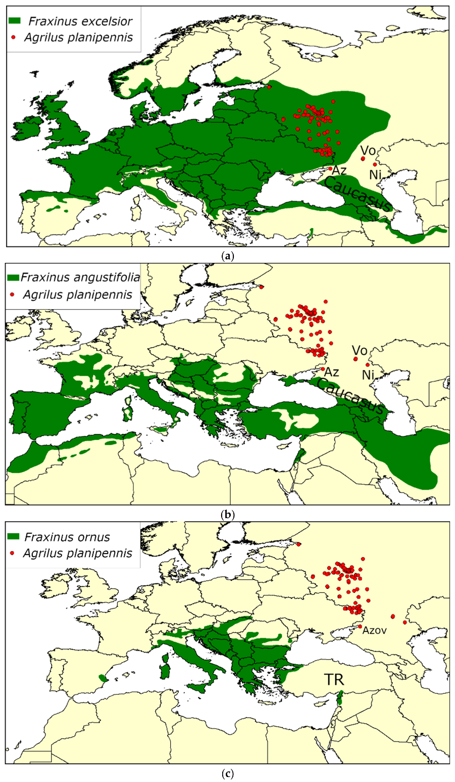 Forests 13 00541 g003a