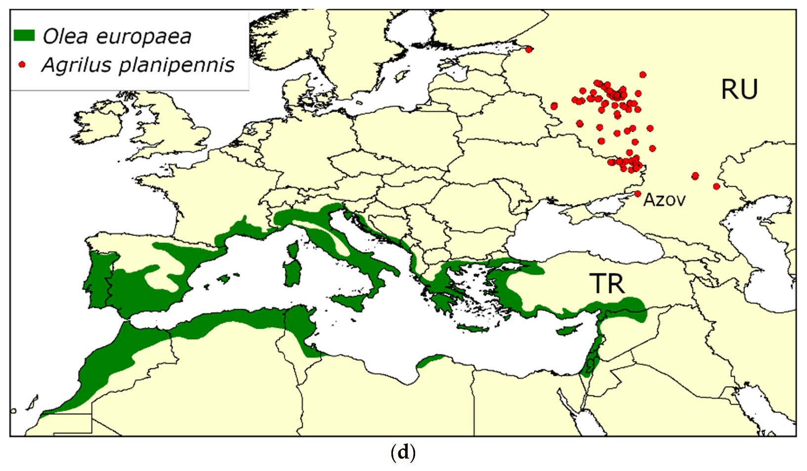 Forests 13 00541 g003b