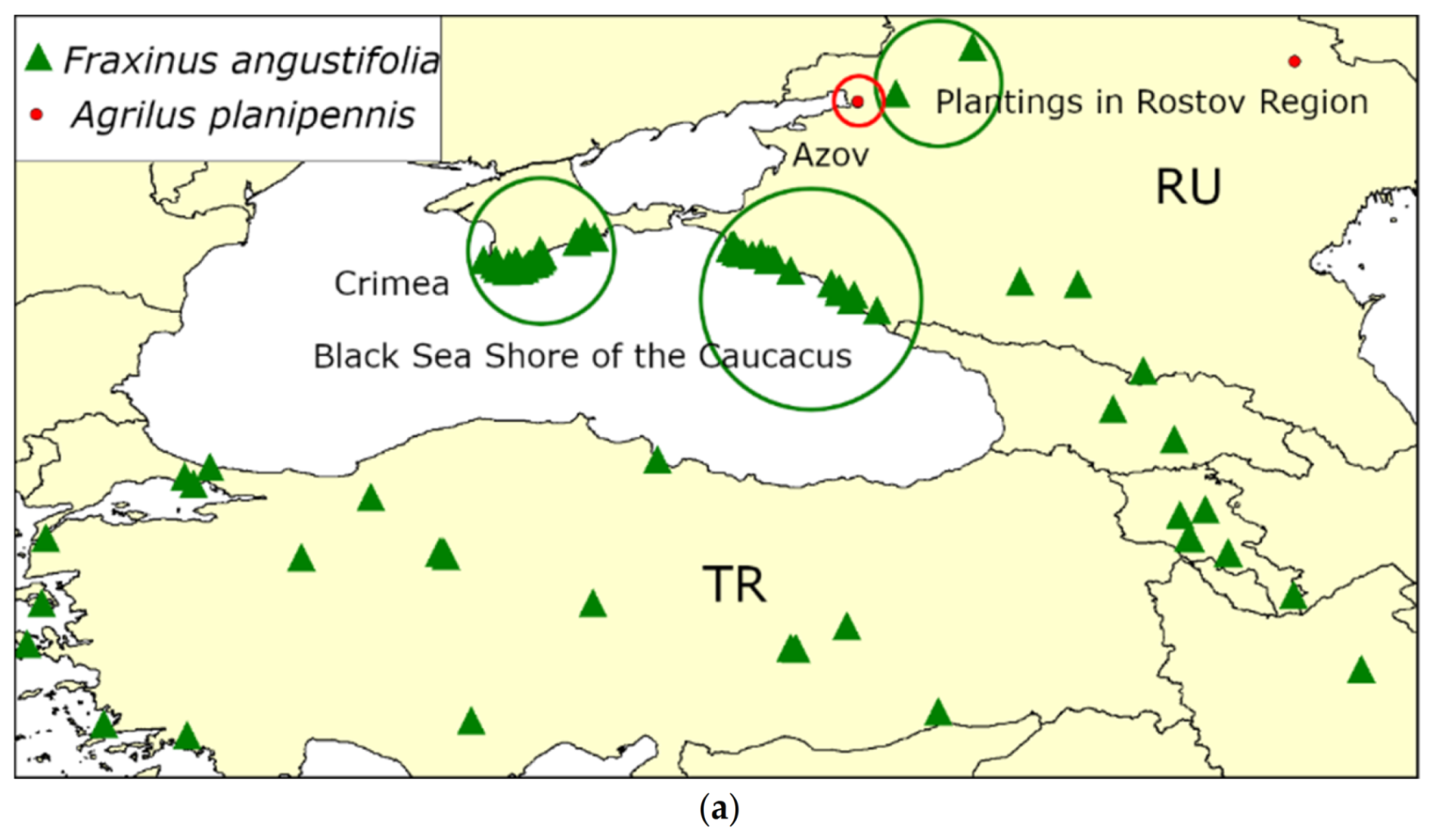 Forests 13 00541 g006a