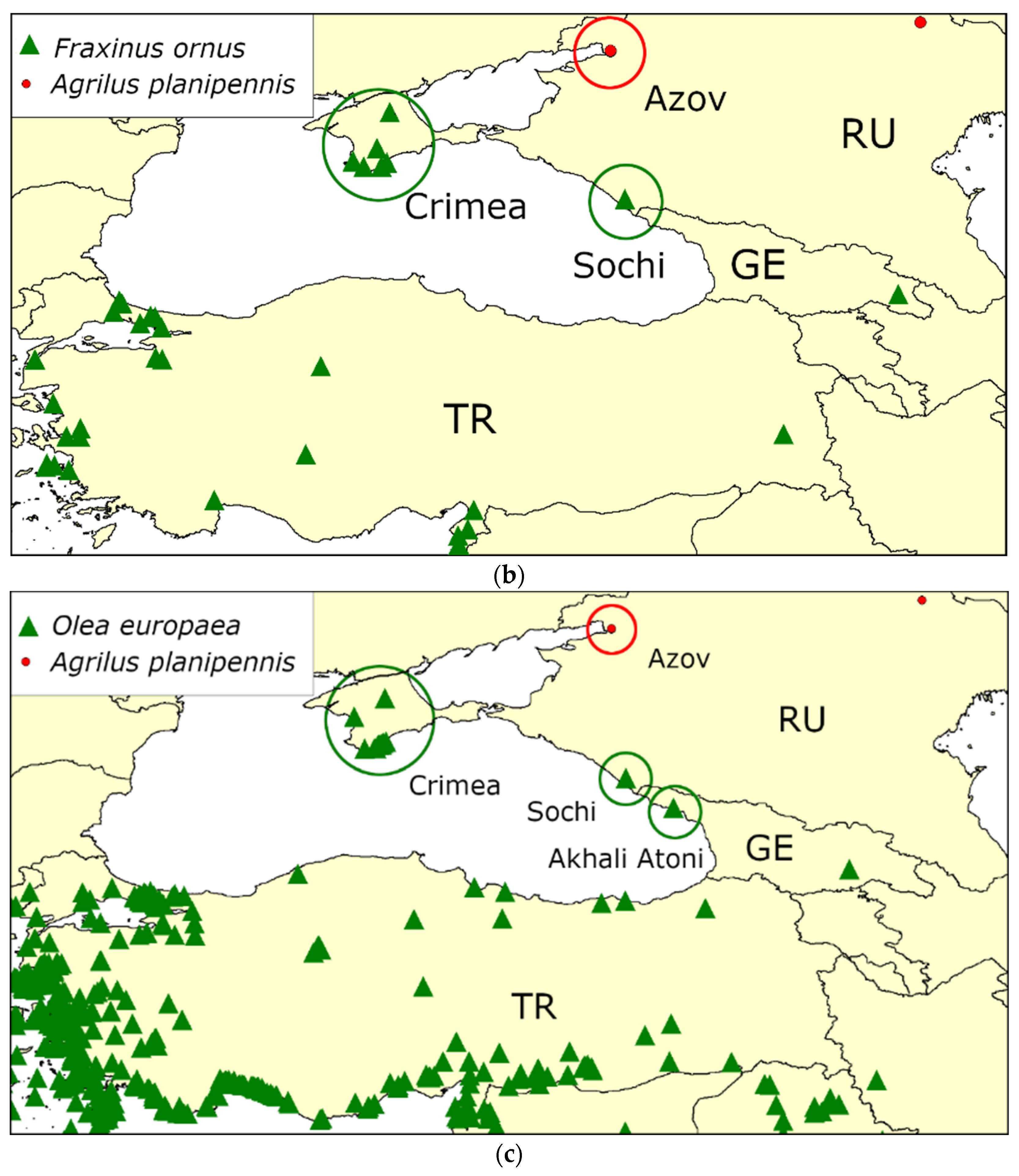 Forests 13 00541 g006b