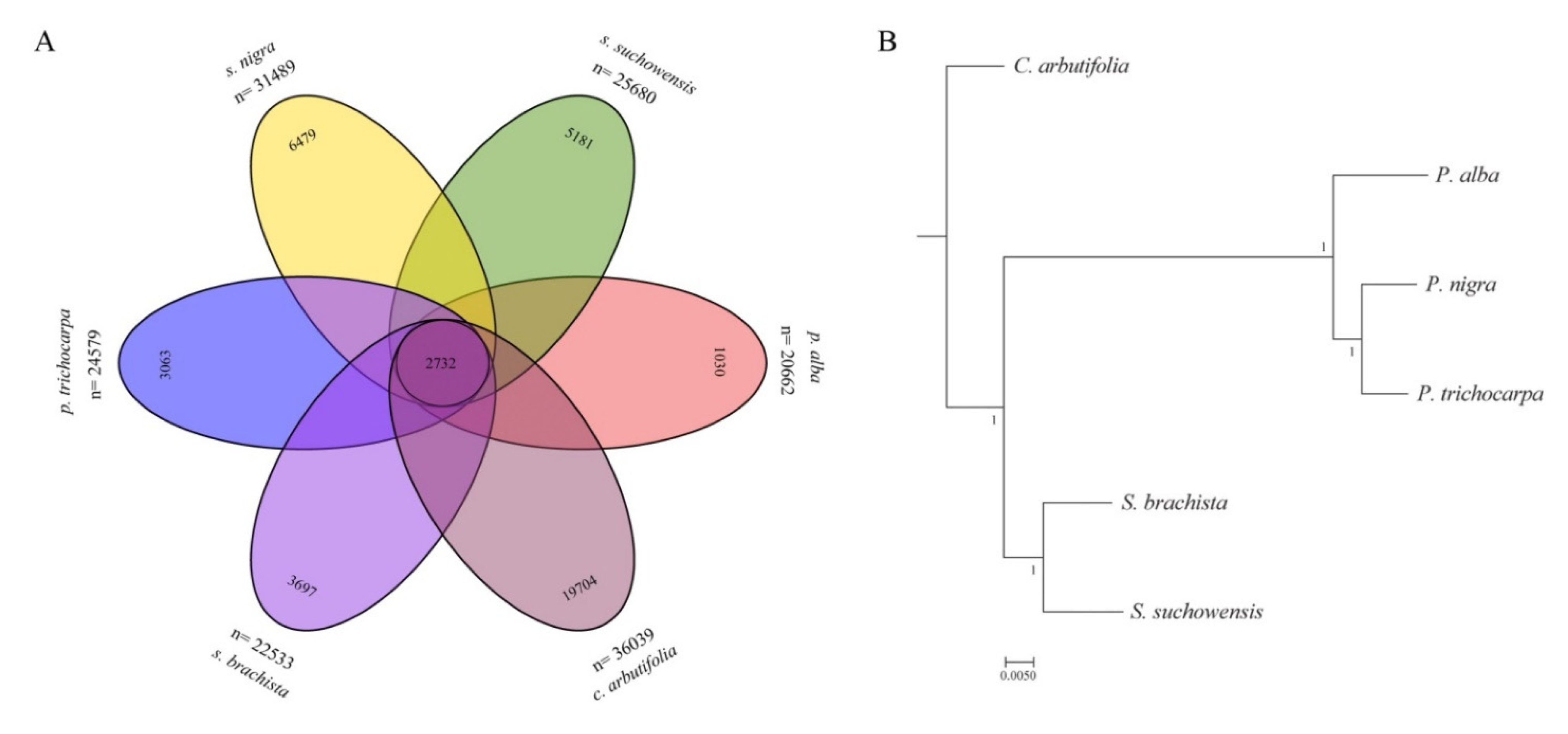 Forests 13 00543 g002