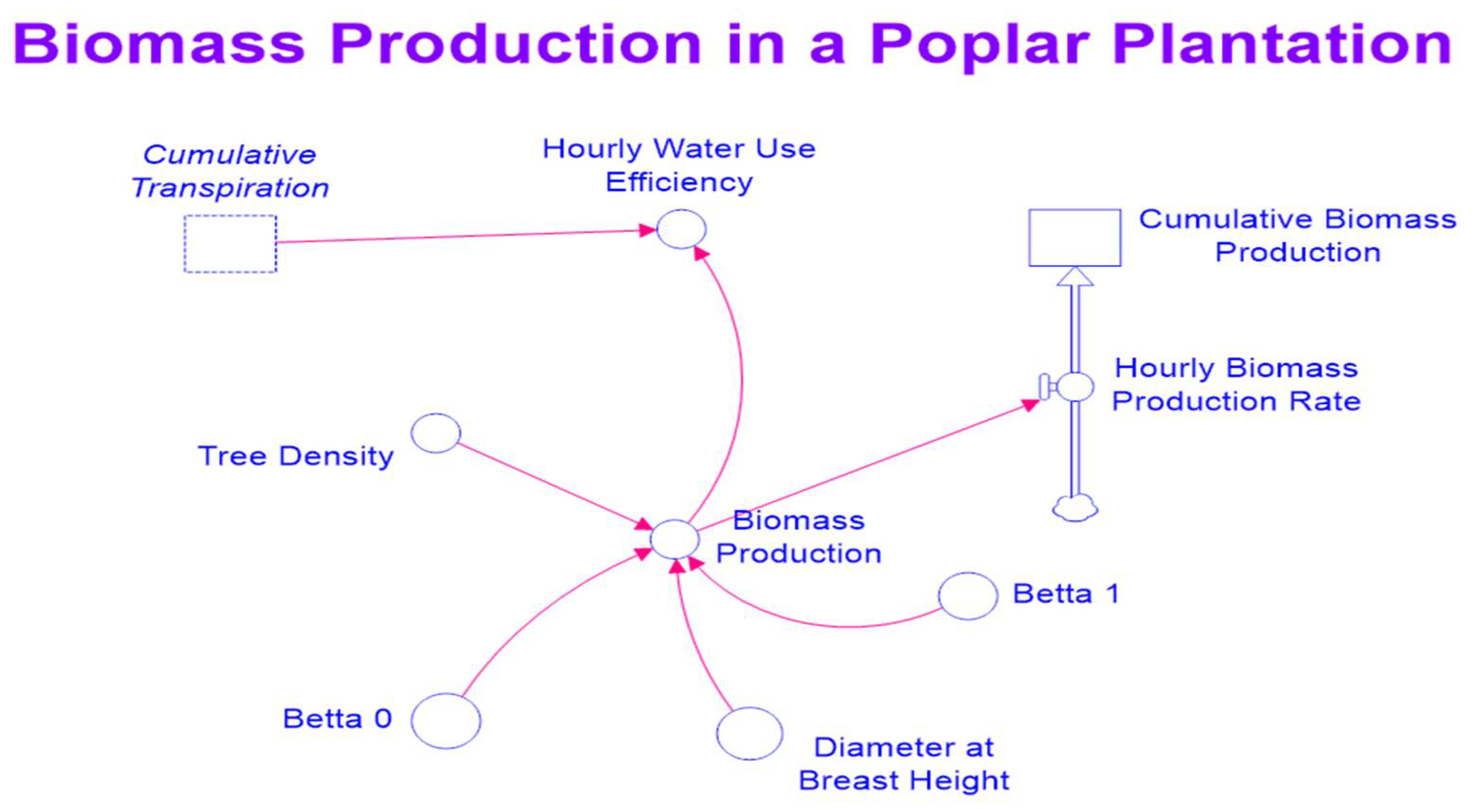 Forests 13 00547 g003