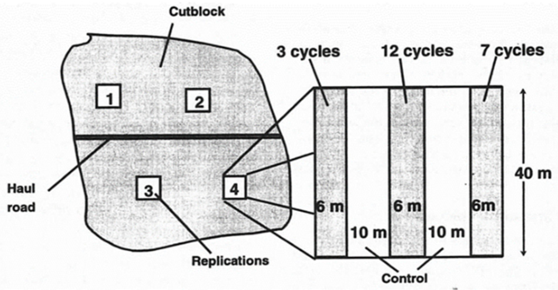 Forests 13 00553 g002