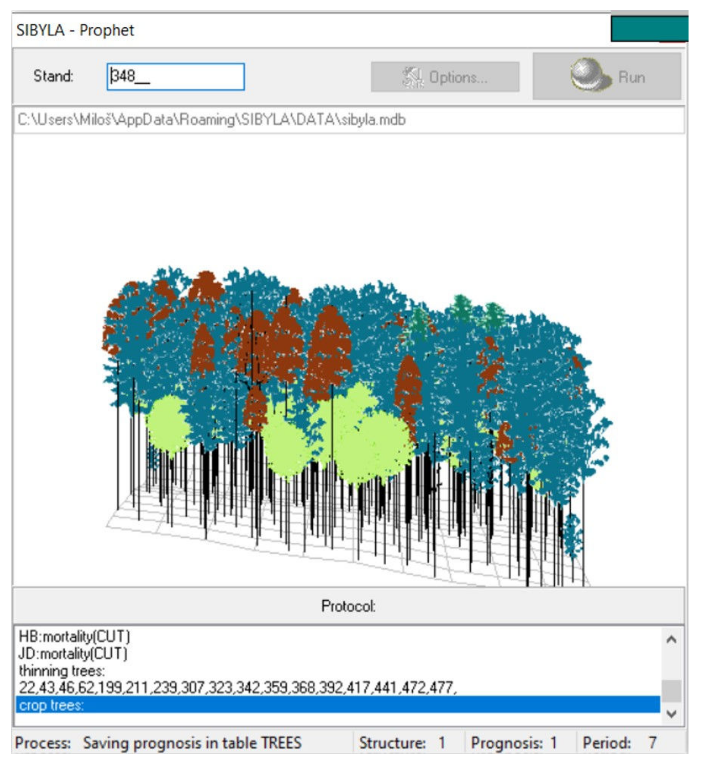 Forests 13 00554 g002 Forests 13 00554 g002