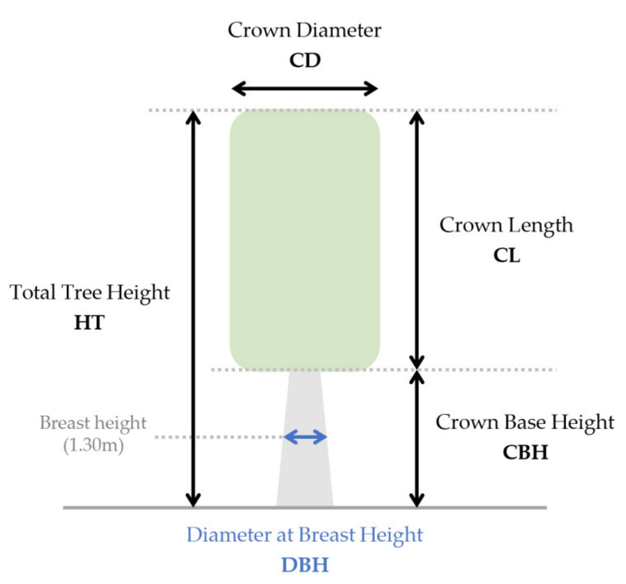 Forests 13 00555 g003 Forests 13 00555 g003