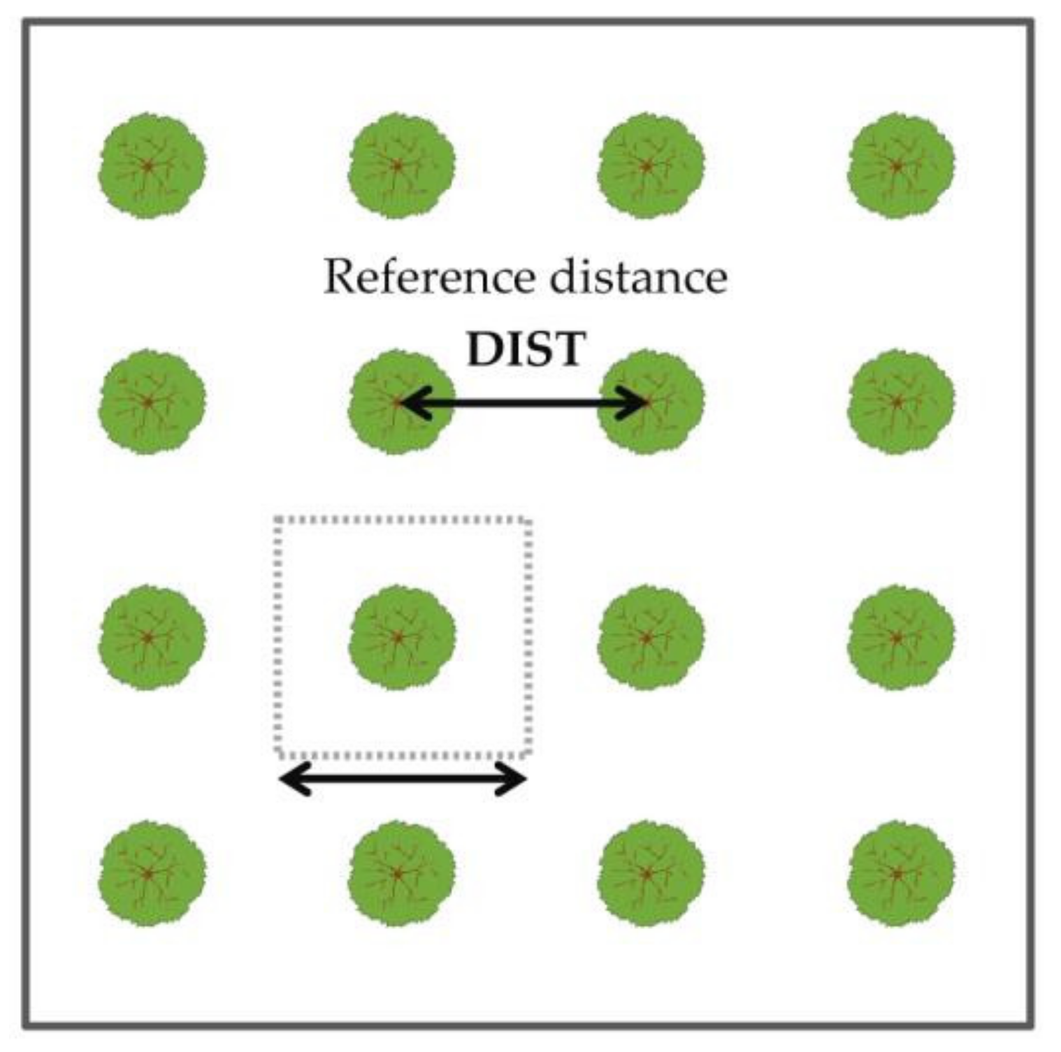 Forests 13 00555 g004 Forests 13 00555 g004