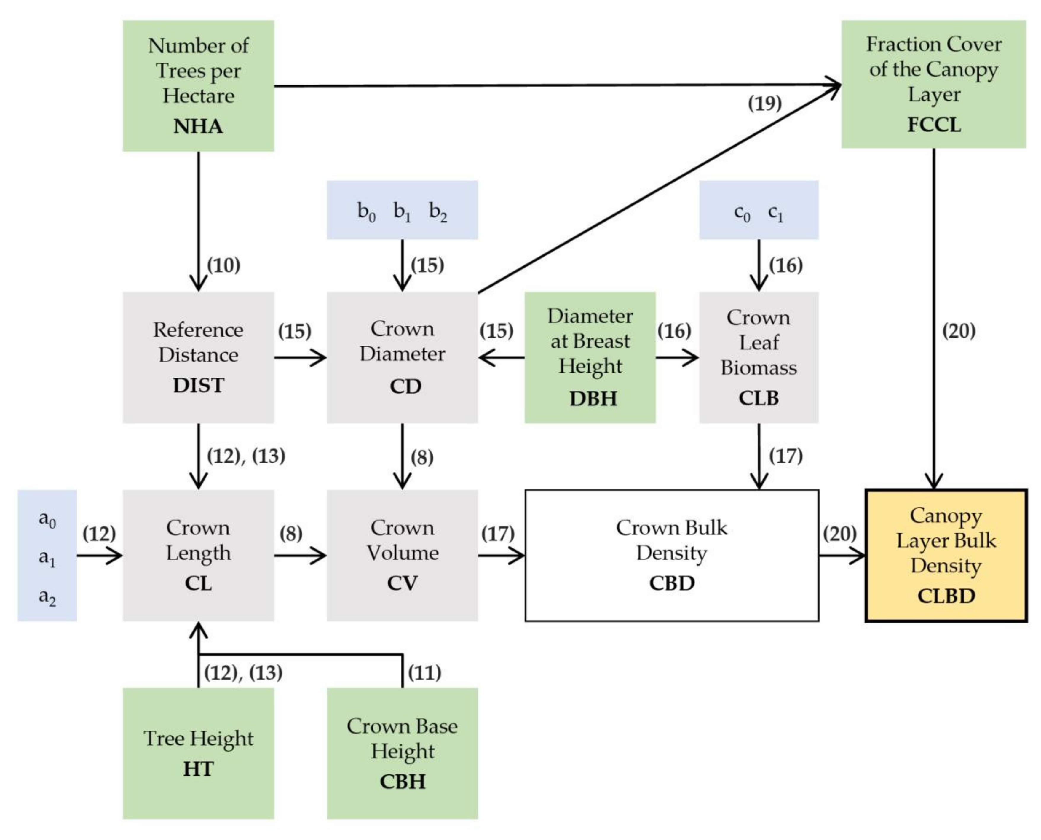Forests 13 00555 g005 Forests 13 00555 g005
