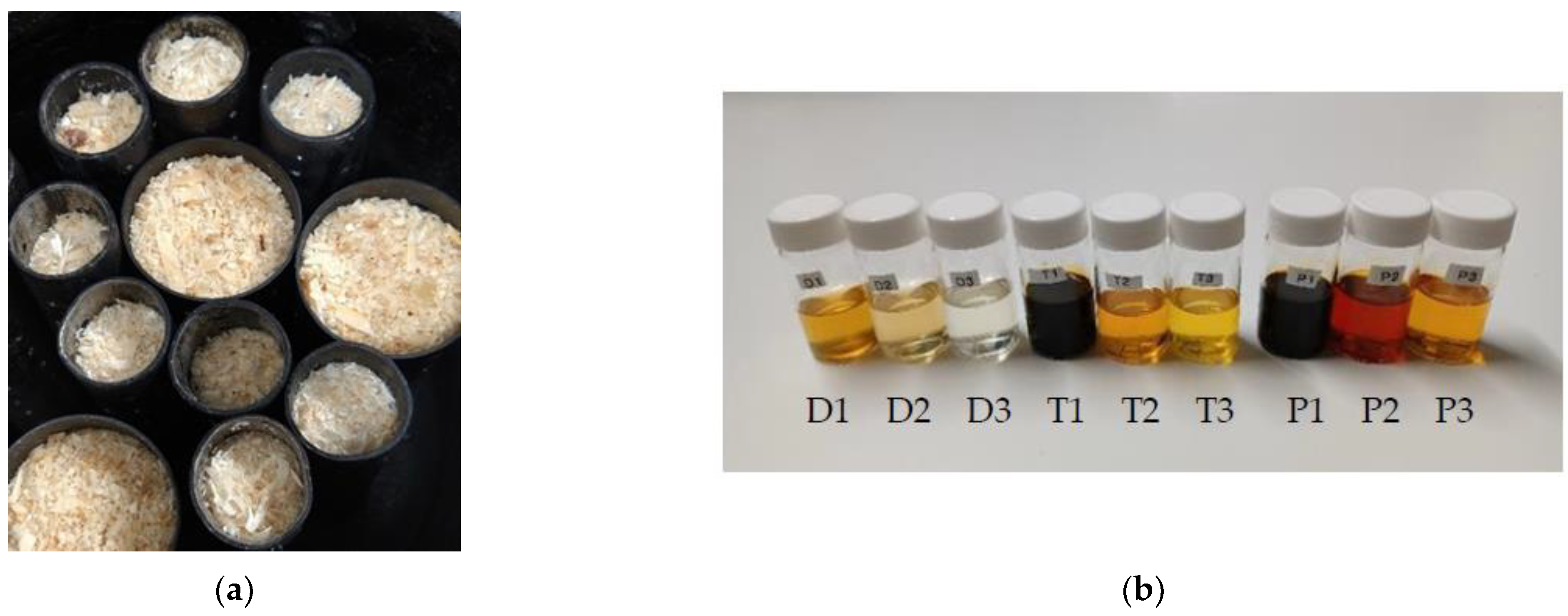 Forests 13 00559 g001