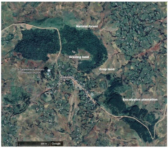 Forests 13 00560 g0a1 550